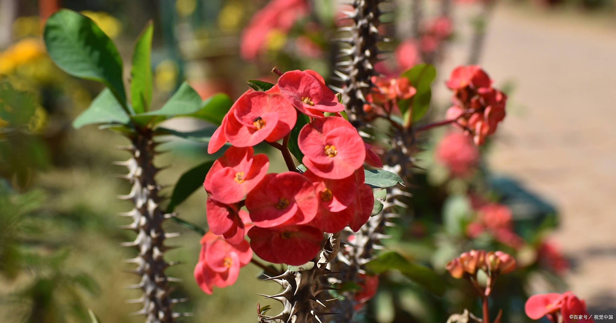 病从口入,祸从口出