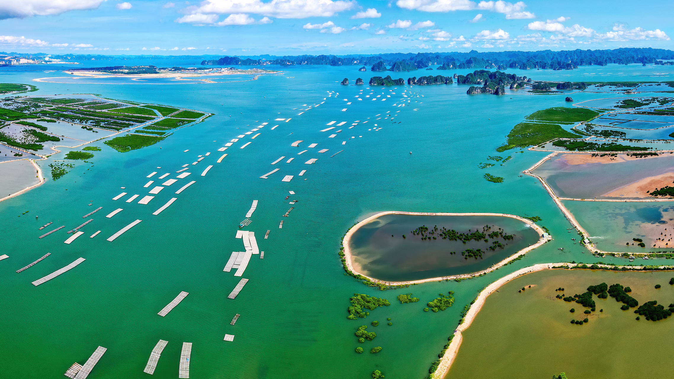 大家好,今天我要带大家去探索一个神秘而美丽的地方——长寿岛和赐福