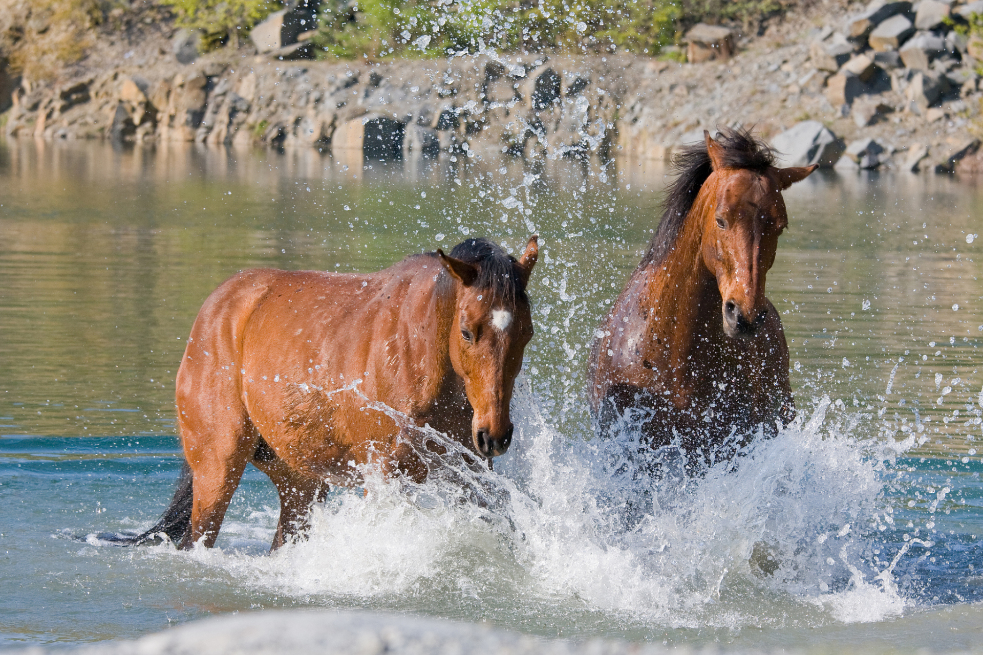 于是,牵马过河时,如若马低头喝了河里的水,他们