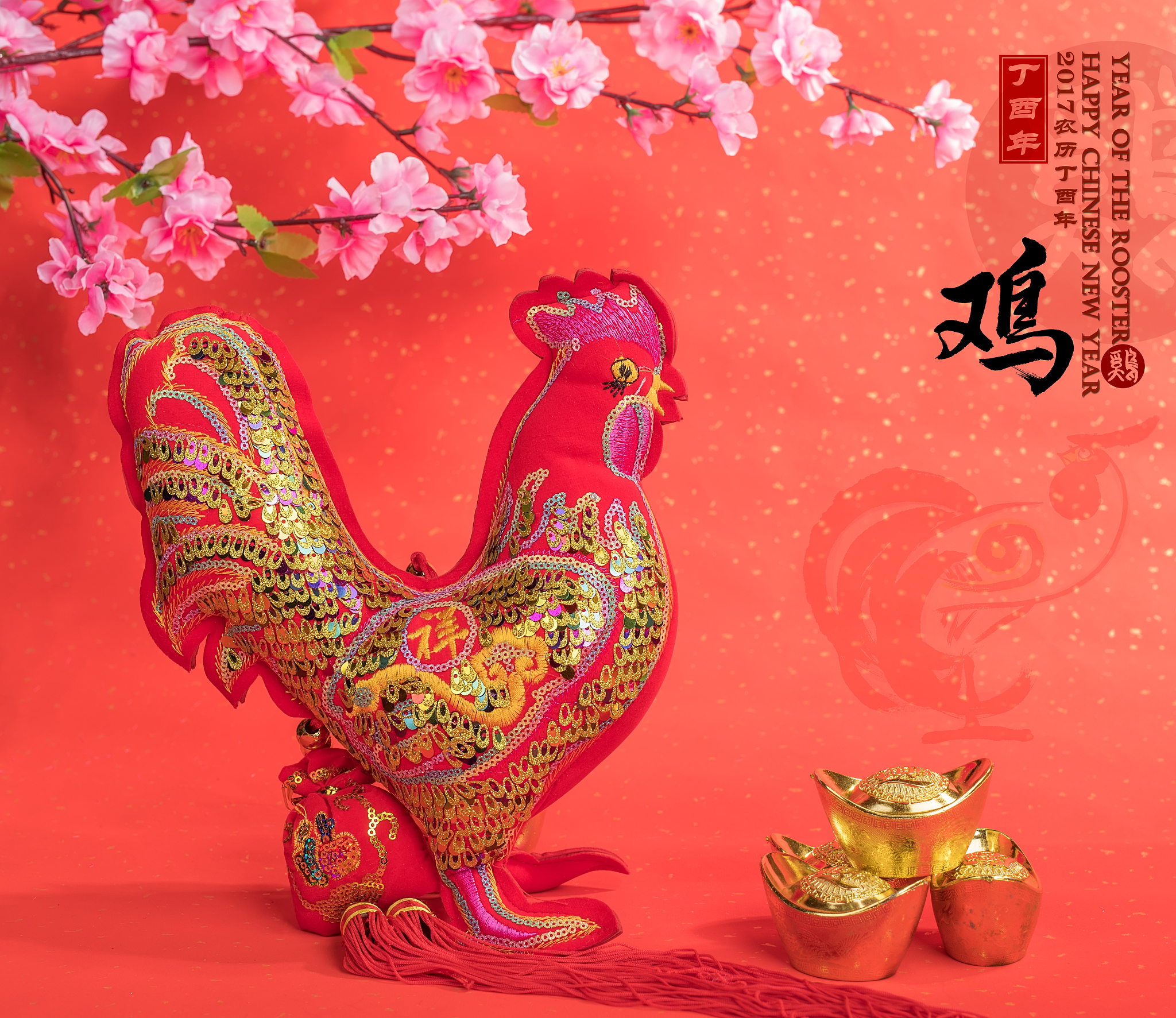 11月9日运势好的生肖(11月9日命运)