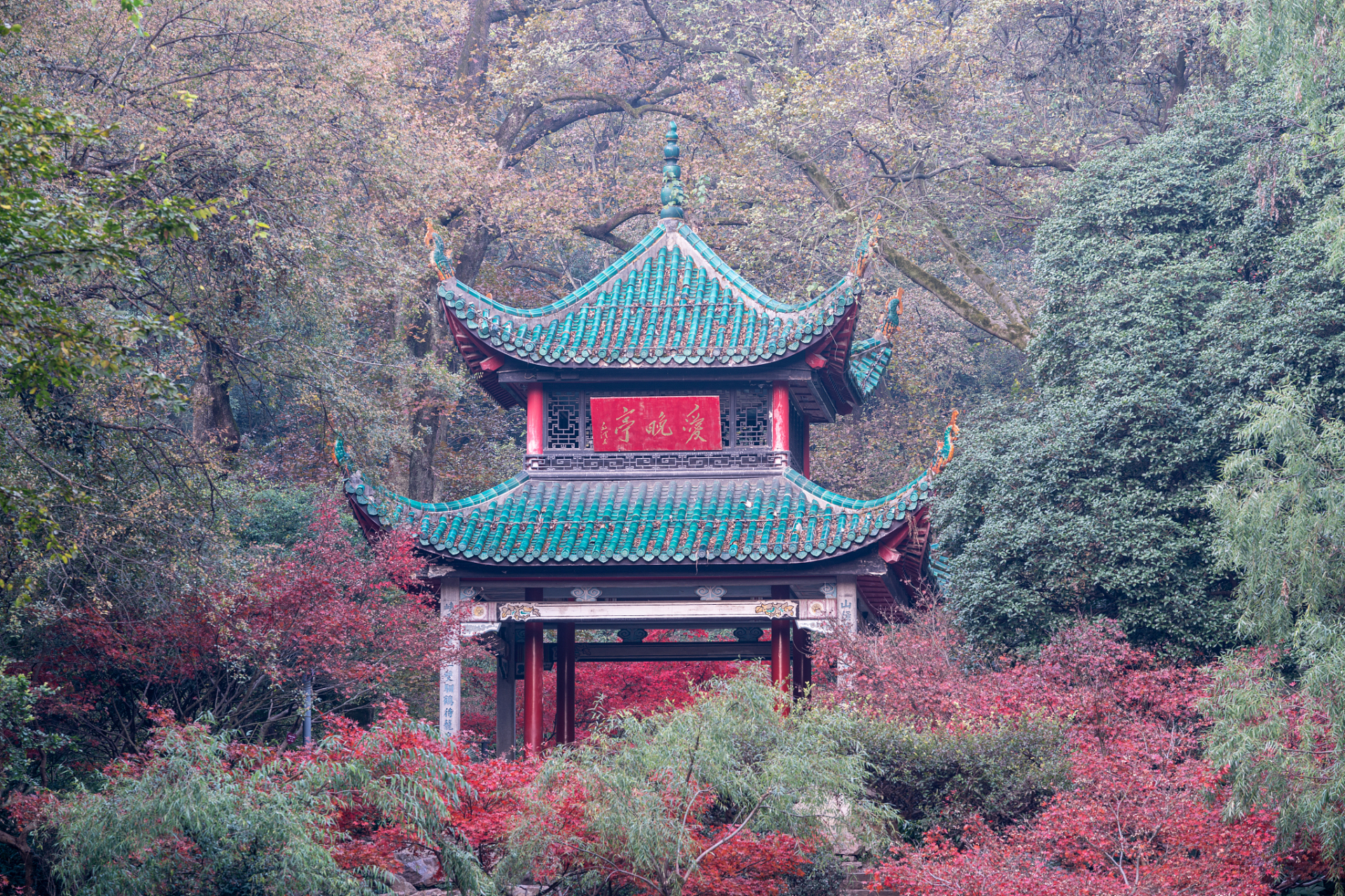 长沙悦己每一天# 在长沙市的青年路旁,有一座风景如画的亭子