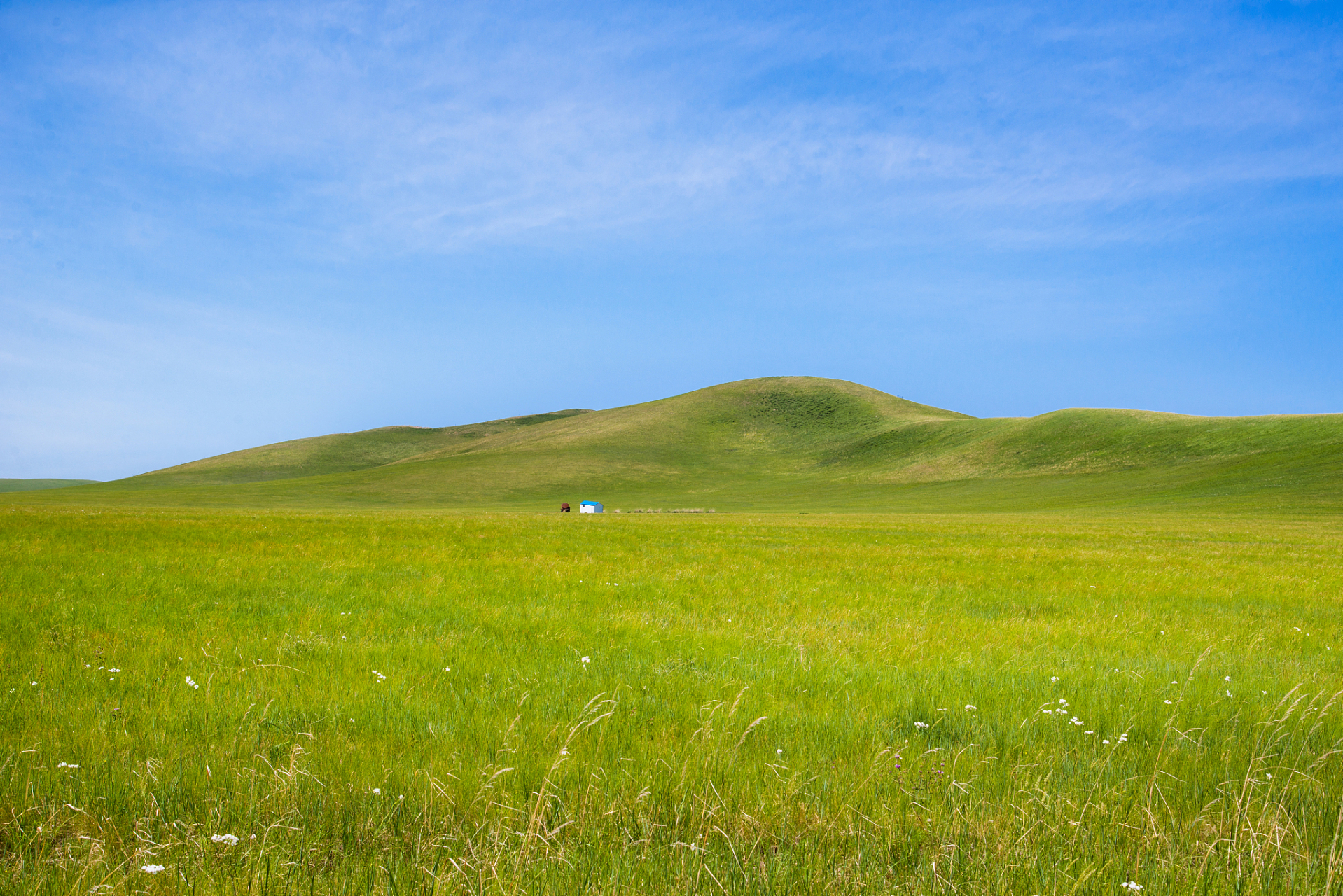 赤峰乌兰布统草原:位于内蒙古自治区赤峰市克什克腾旗西南部,曾是清朝