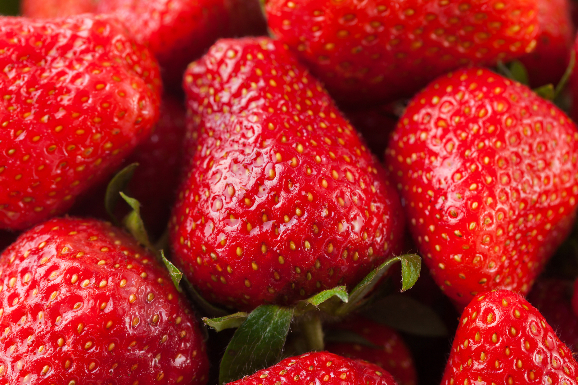 草莓不是冬天的水果?