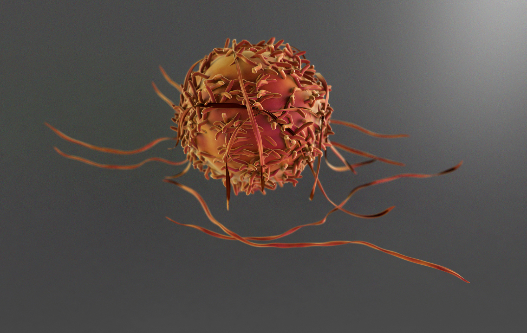 科学家通过动物模型,体外实验和细胞培养以及人体临床试验等手段研究