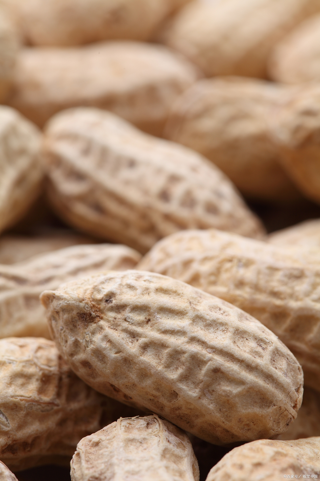 花生对男人性功能影响#   花生是一种常见的坚果,它富含多种营养沃适