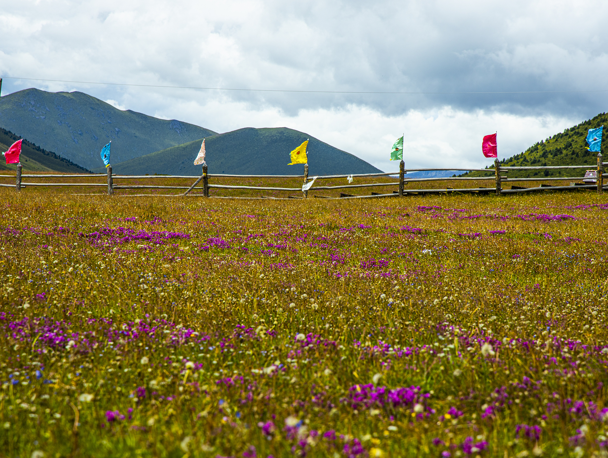 赫章天气在线 赫章天气在线