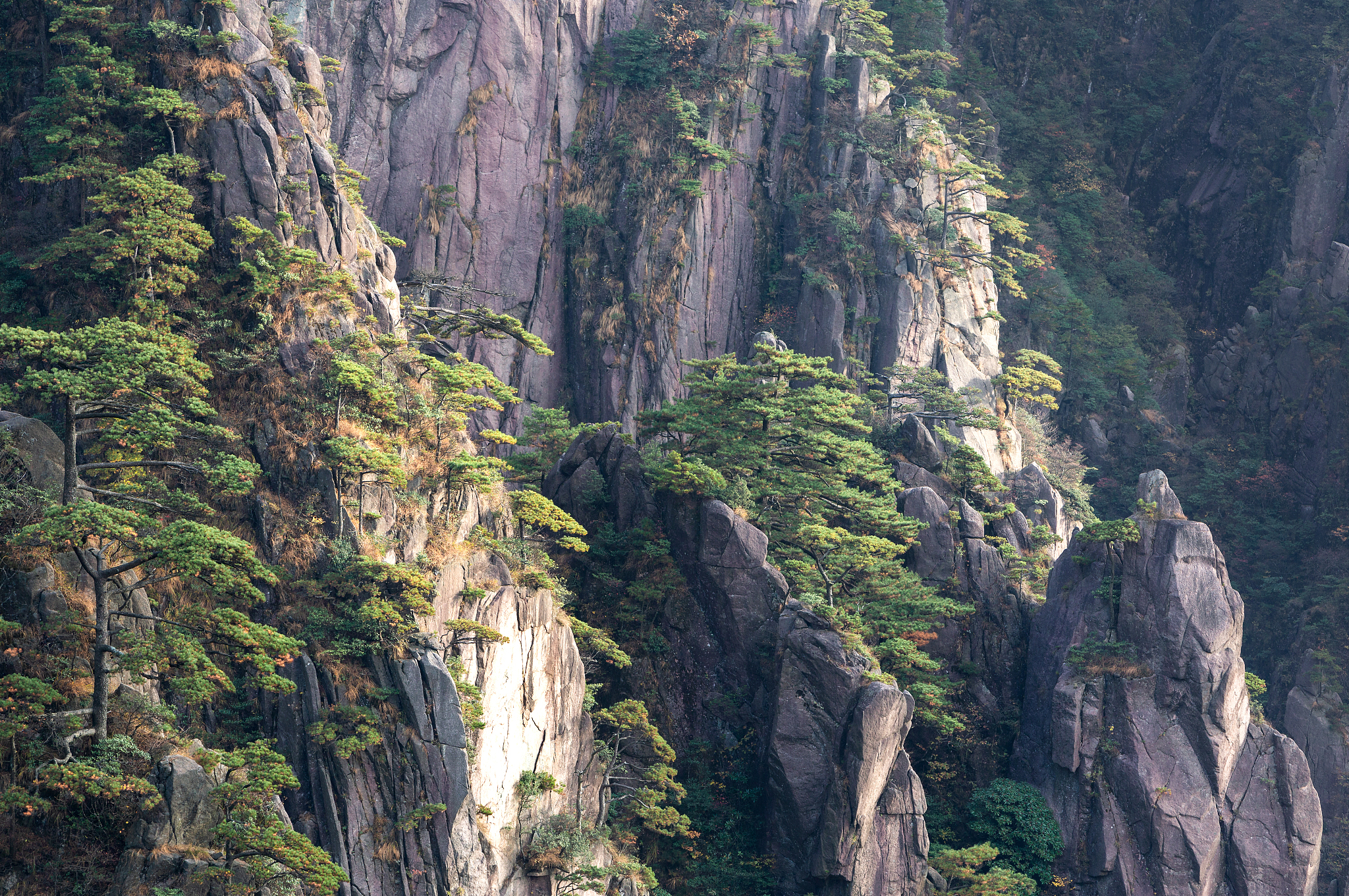 陡峭的山峰 黄山图片