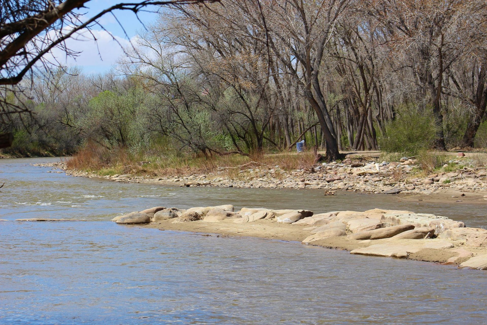网红打卡地辽宁杠杠滴# #美好辽宁欢迎您# 太子河#振兴新突破辽宁