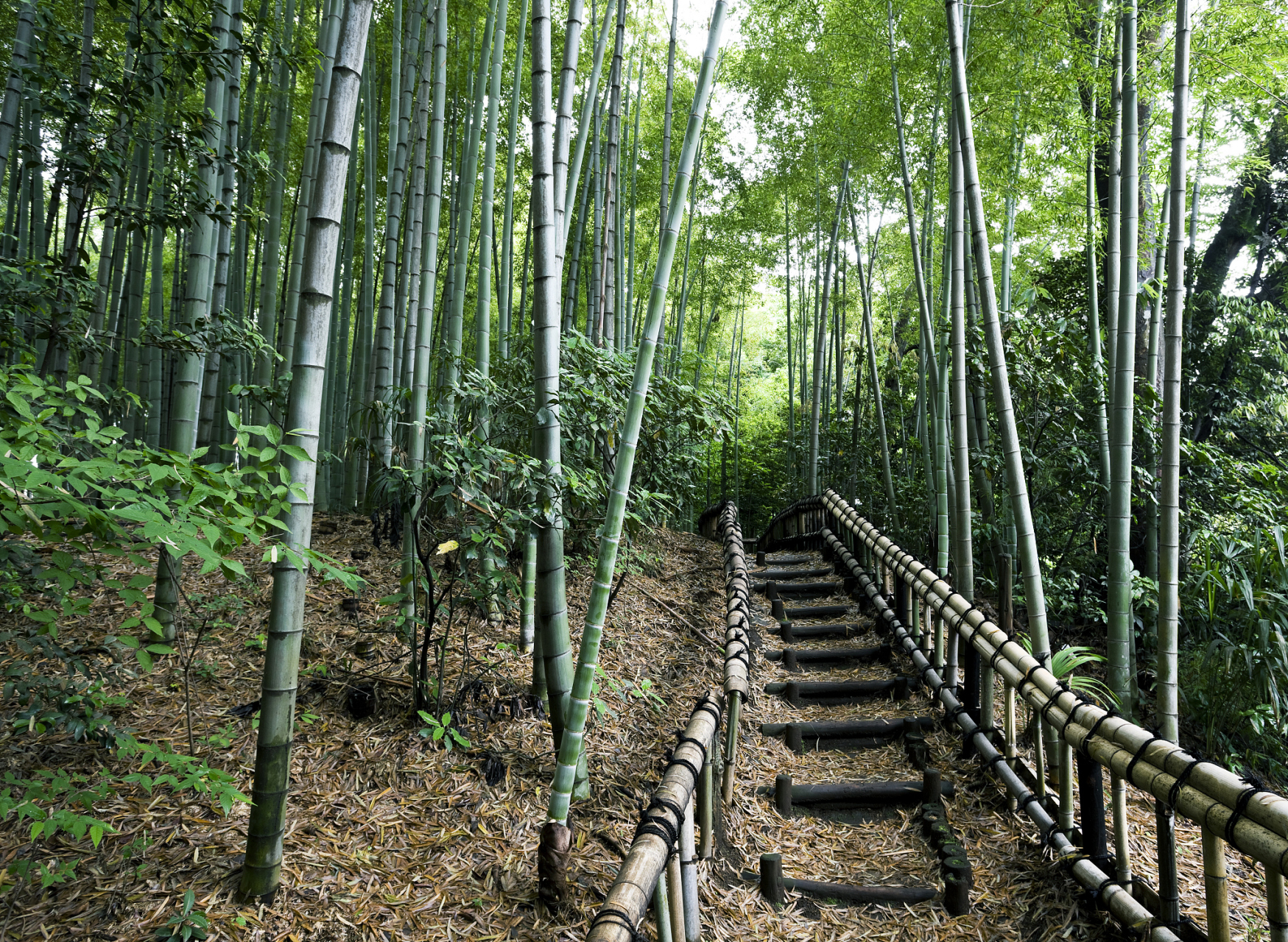 南山竹海周边旅游景点图片