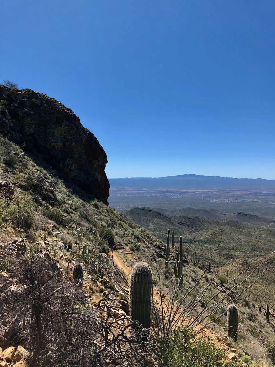 1967年戴尔出版公司正式出版的《铁山报告》一经面世,立刻震惊美国