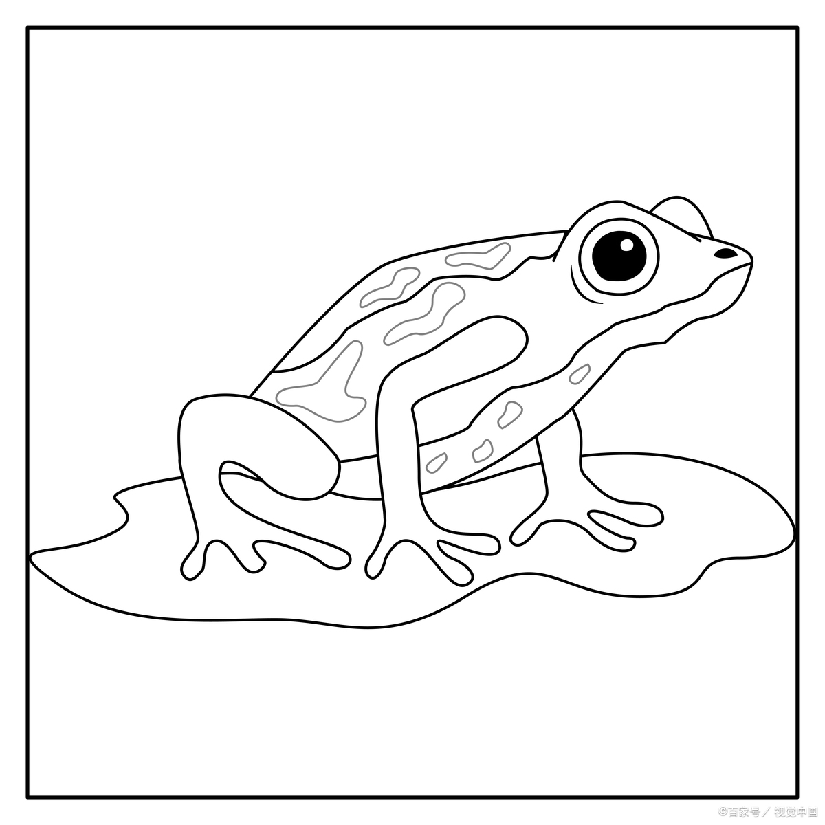 教育爆款制造机# 青蛙简笔画怎么样画?