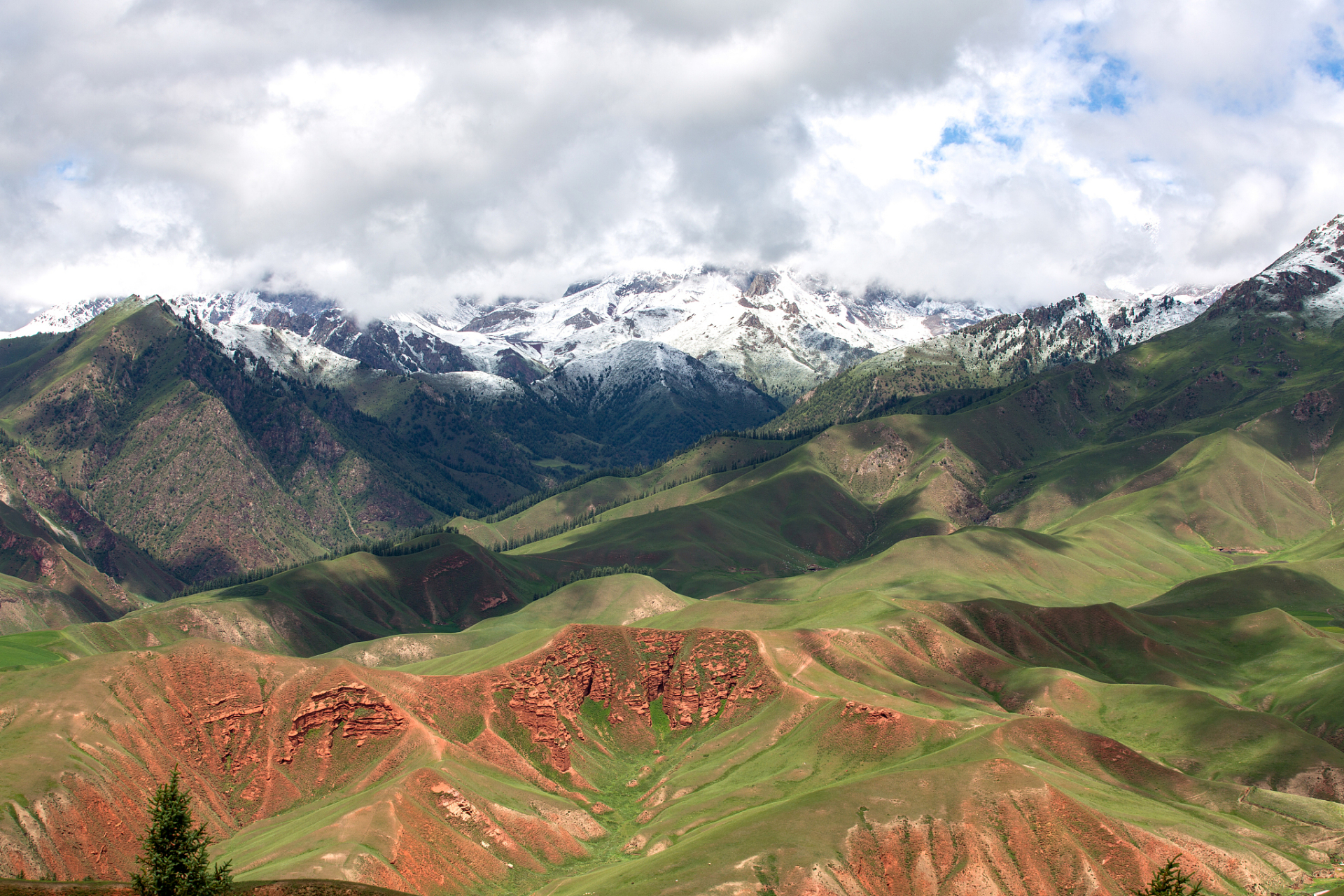 镜头里的春天# 春游甘肃祁连山脉,那是大自然赋予我们的一份厚重而