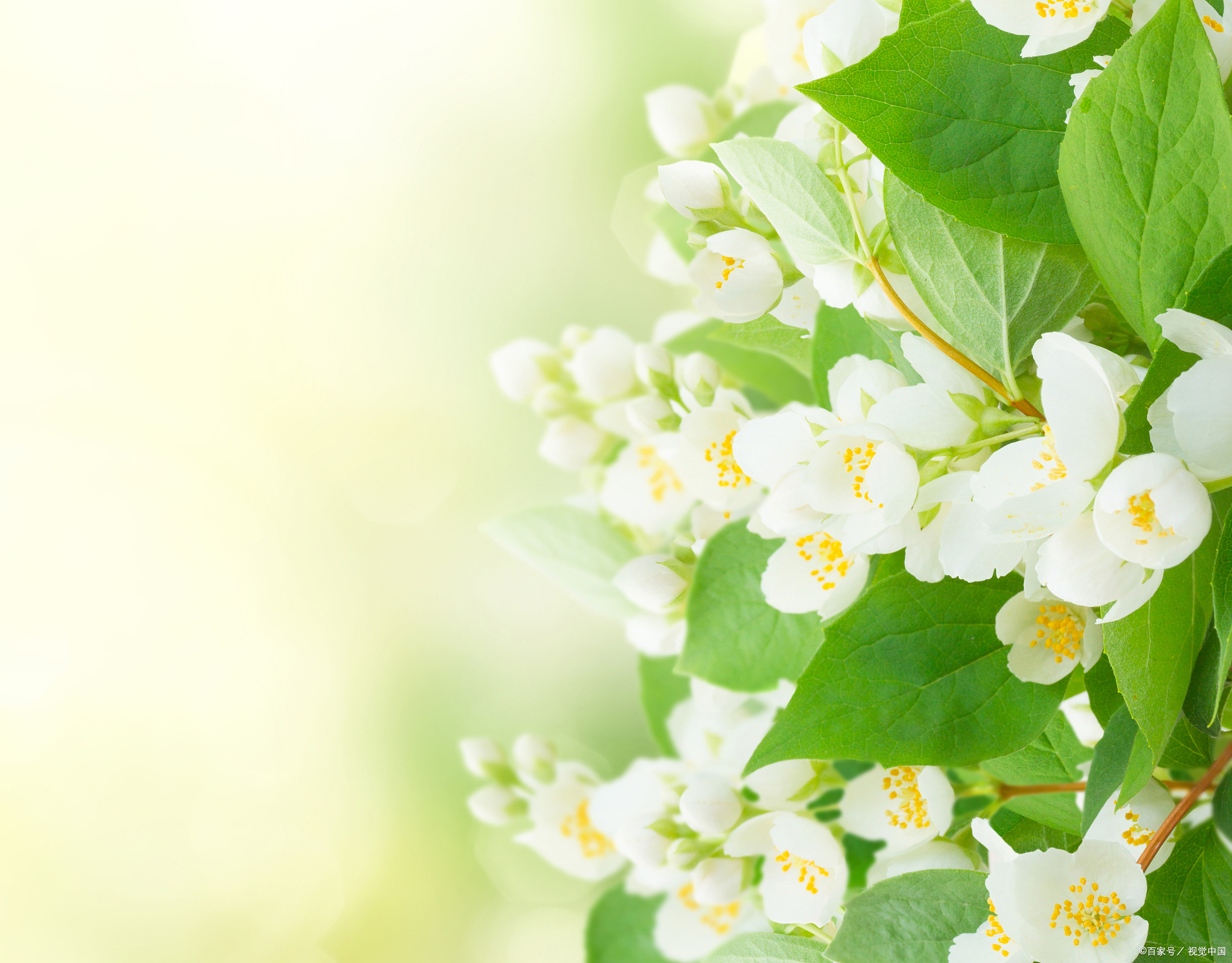 很多夫妻,之所以走着走着就散了,是因为不懂得经营