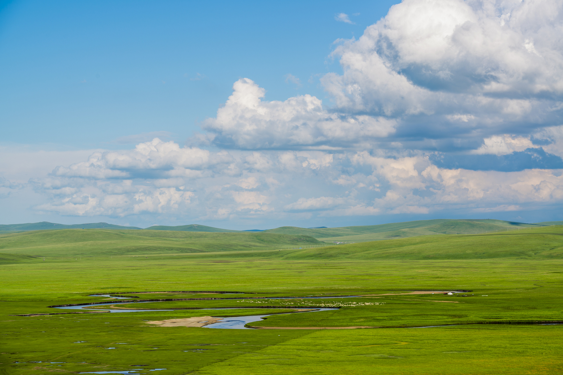 内蒙古呼伦贝尔大草原,有着"天堂草原"的美誉,夏季的大草原,真是美翻