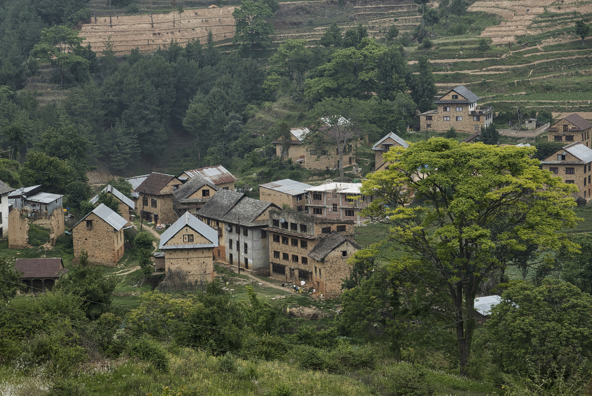 我住在一个偏僻的小山村,村子里的每个人都认识,每家每户都有人情味.