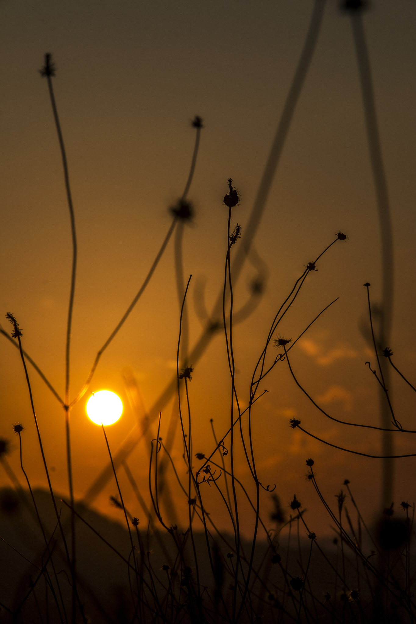 夕阳残照映晚殇, 孤鹜齐飞夜未央. 西风带愁眠不得, 满天霞色淡如伤