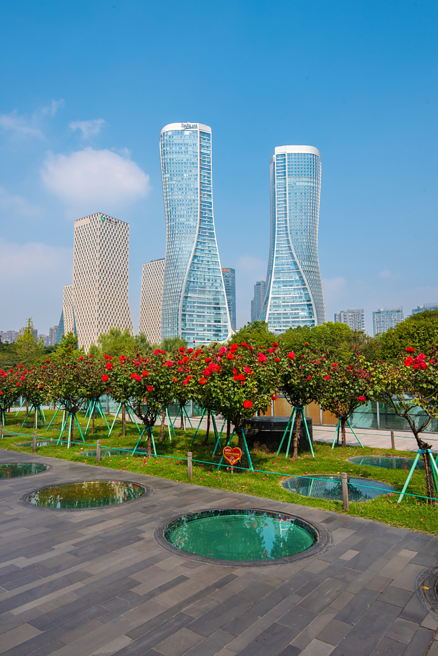 镜头里的春天# 春日深圳新桥市民广场,如诗如画,草坪鲜花点缀,喷泉