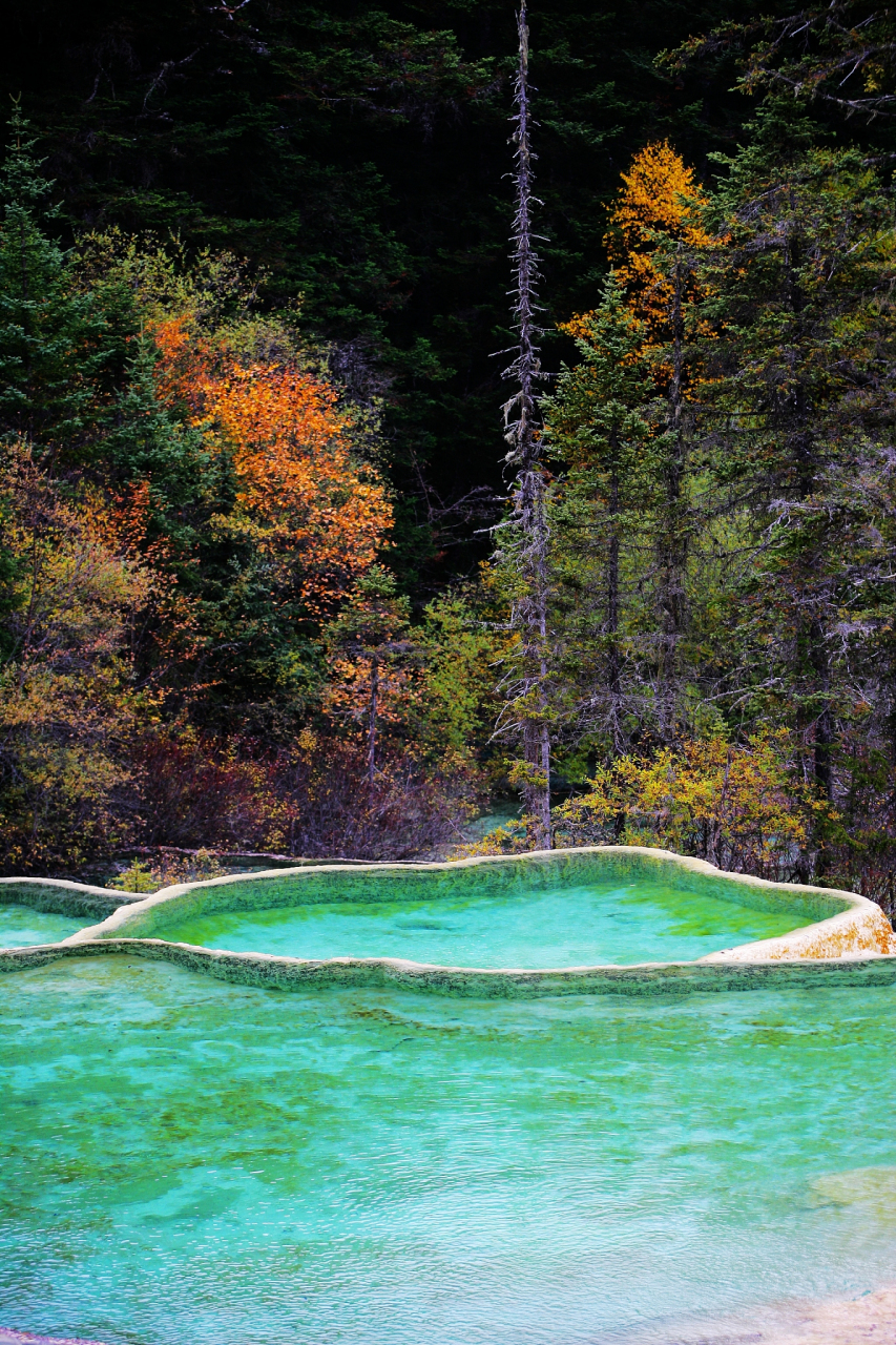 黄龙风景名胜区位于四川省阿坝藏族羌族自治州松潘县,面积700平方公里