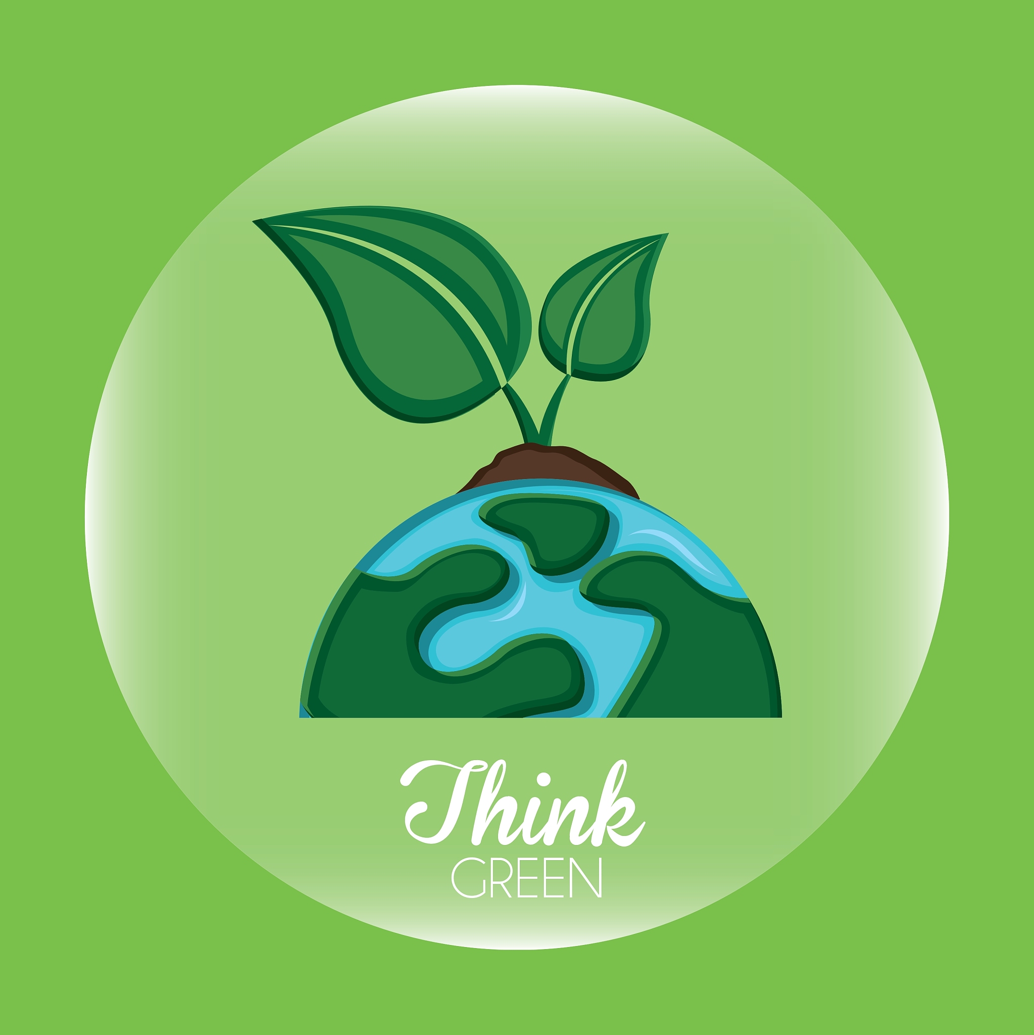 近日,青岛栈桥景区再次成为了舆论关注的焦点