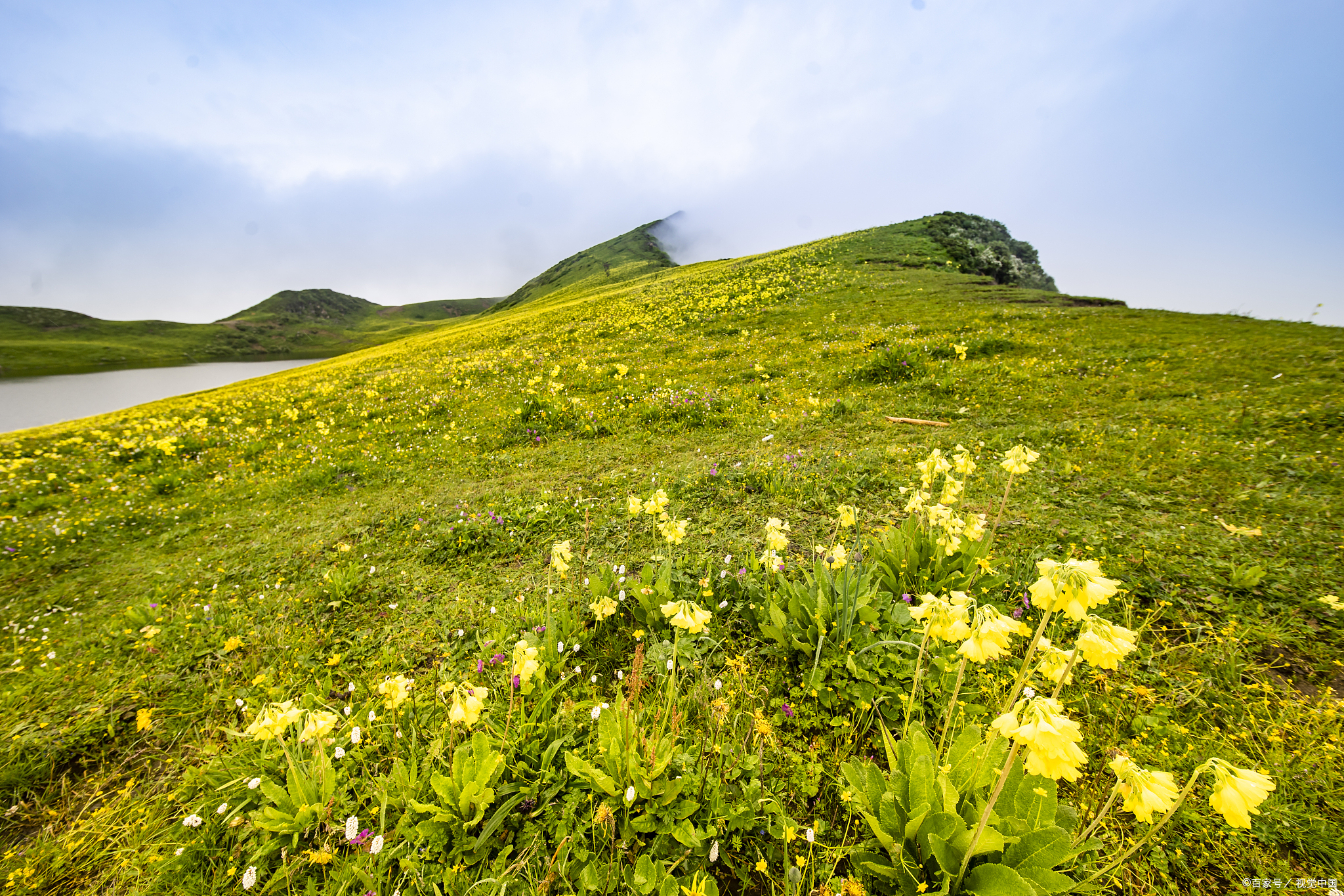 大韭菜坪景区图片