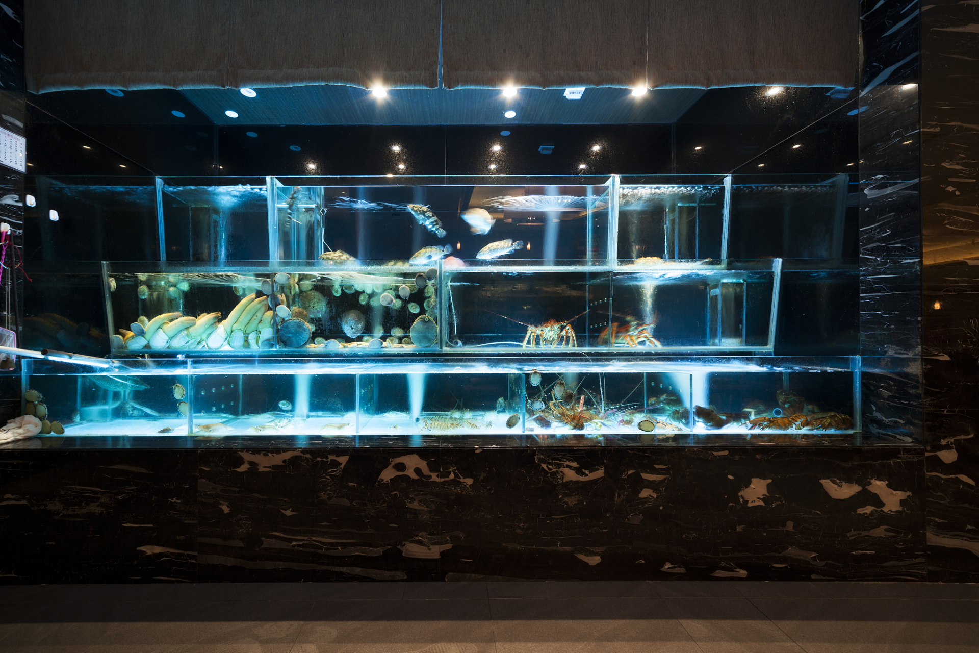 异形弧形亚克力鱼池定制,大型鱼池设计施工 #亚克力鱼缸定制# 鱼缸