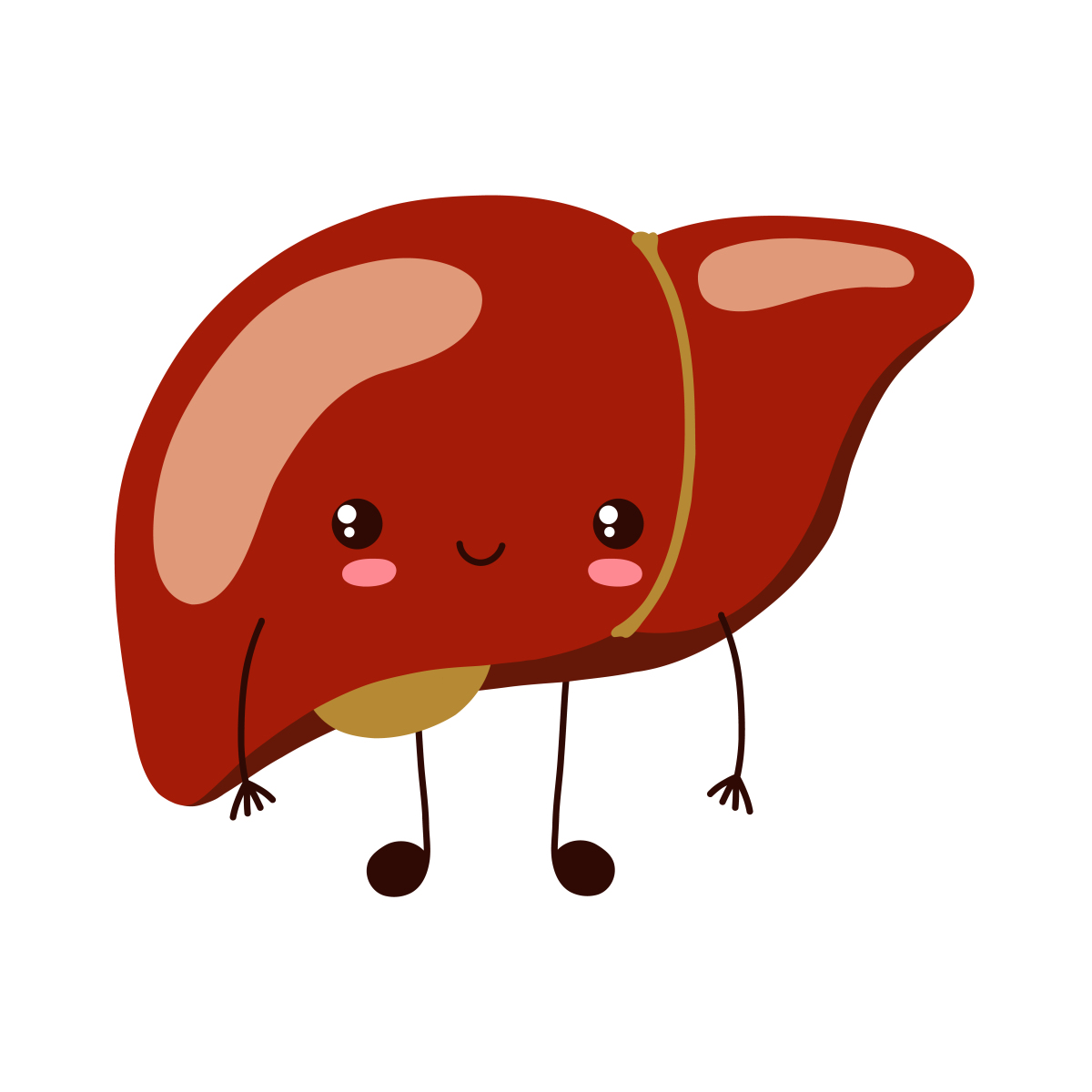 :近期,我总是感到身体乏力,有时候还会出现肝区疼痛的