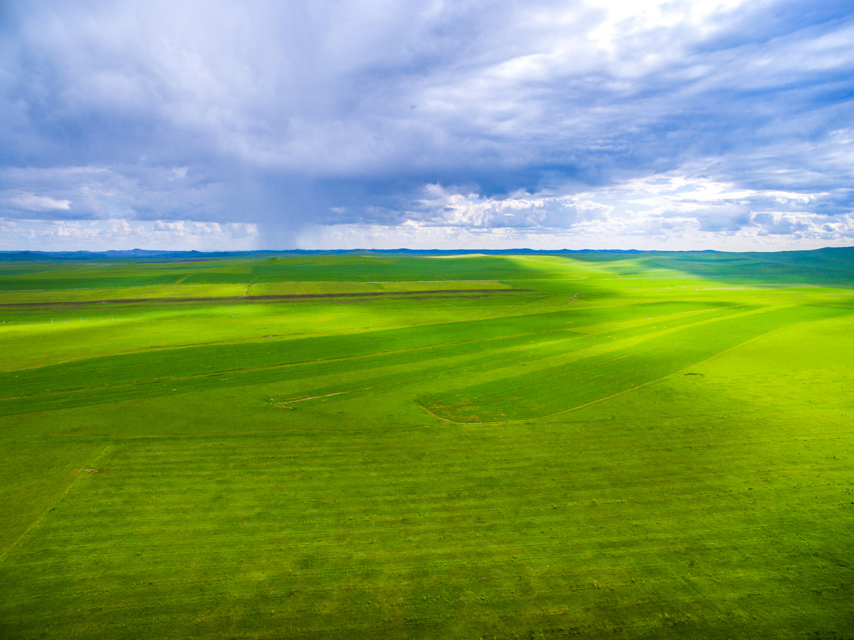 鄂尔多斯草原:在广阔天地间寻找自由的灵魂  嘿,自由的灵魂们!