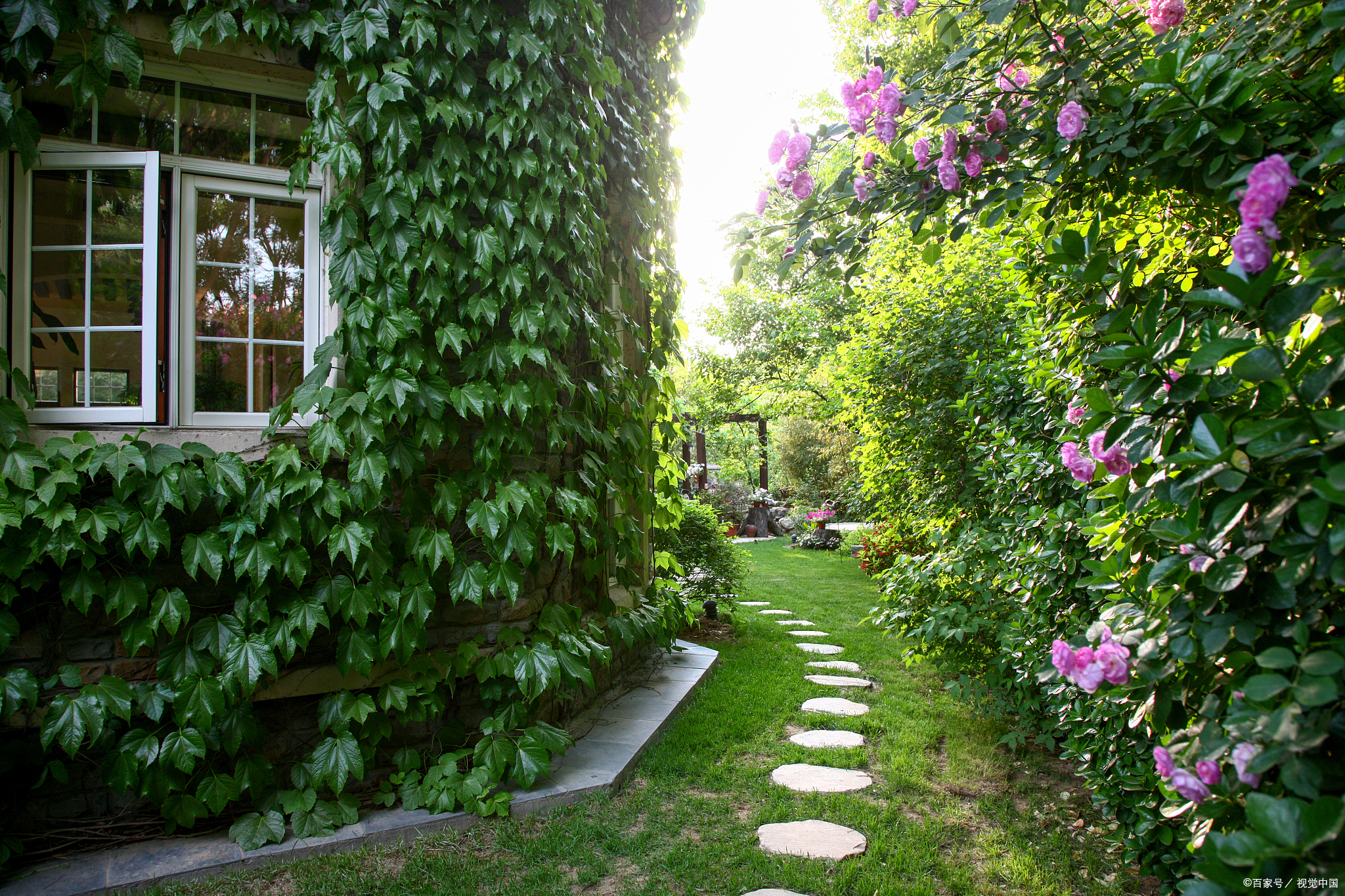 绝大多数的来访者,都会回答说: