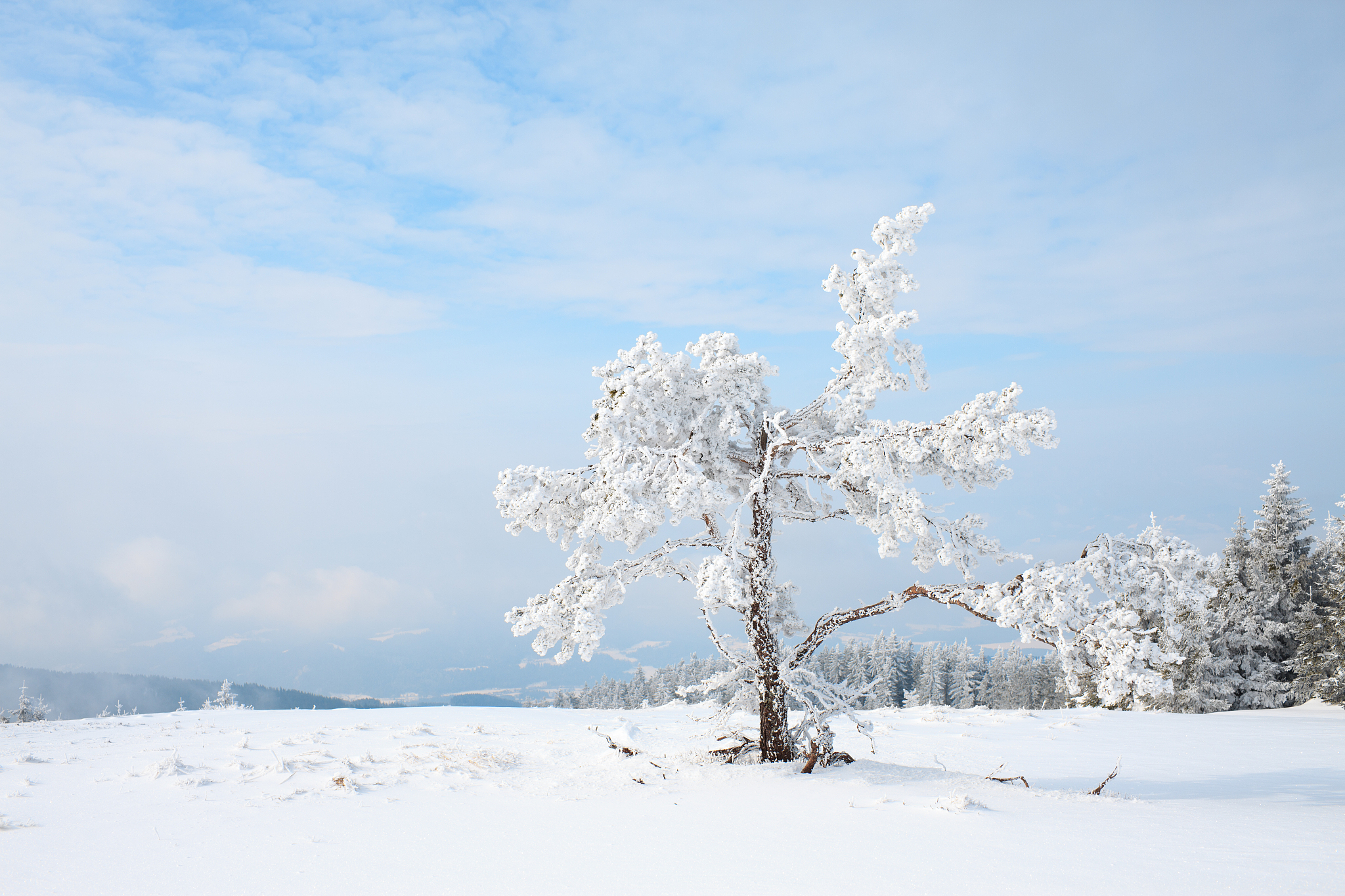 这位摄影师拍摄的雪景照片中