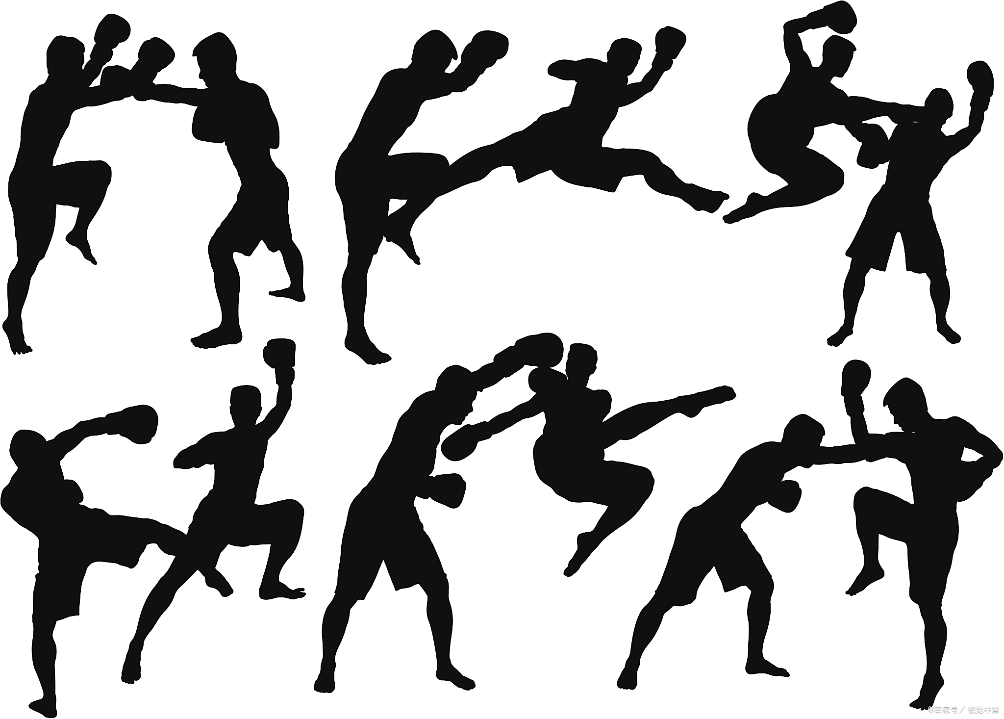 pfl格斗和ufc的区别