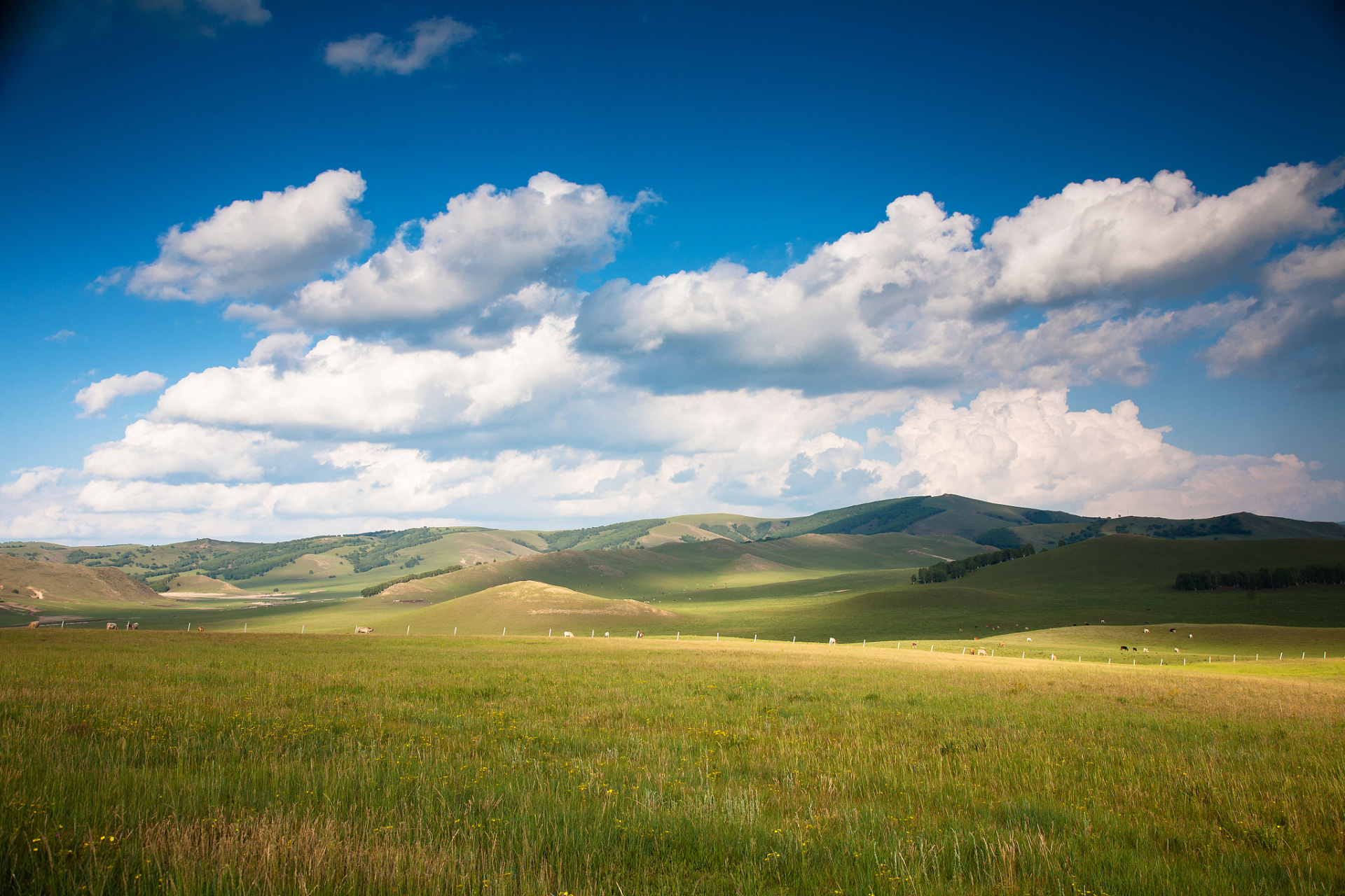 奇遇那拉提#新疆那拉提高寒草原景点因其壮观的景色和独特的民俗文化