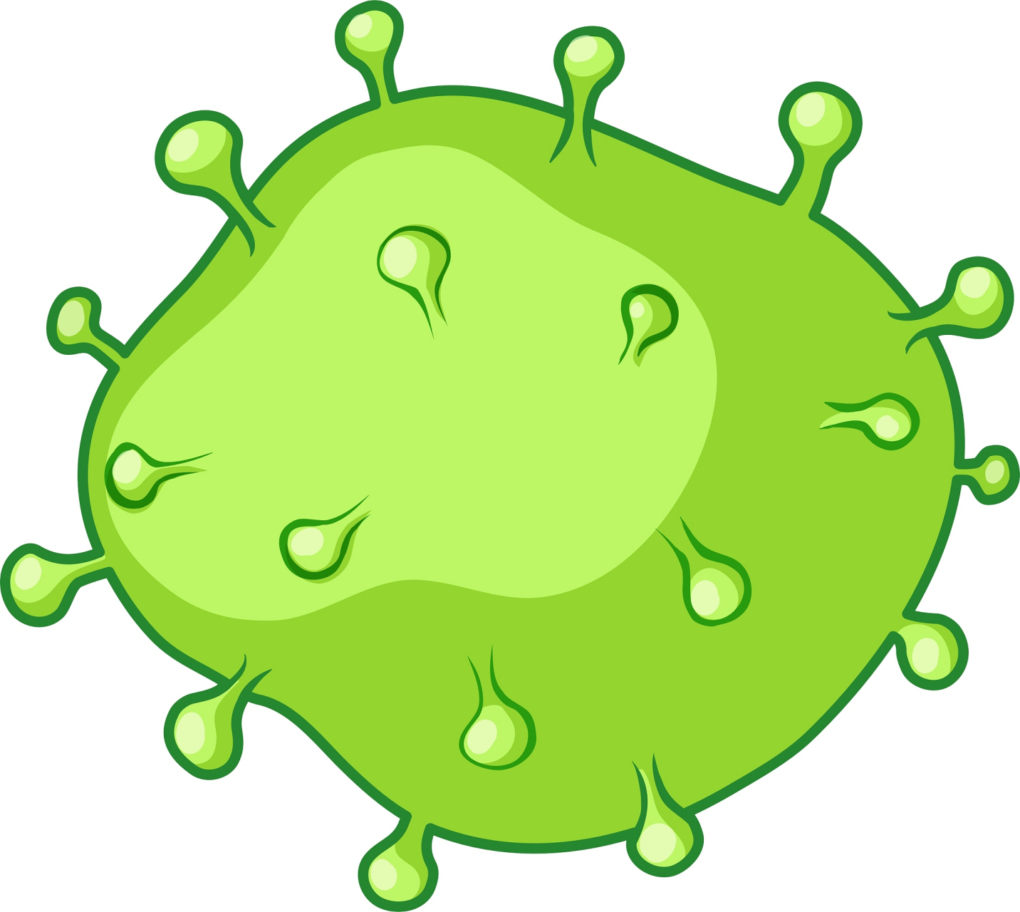 人体内的"小宇宙":细菌大冒险