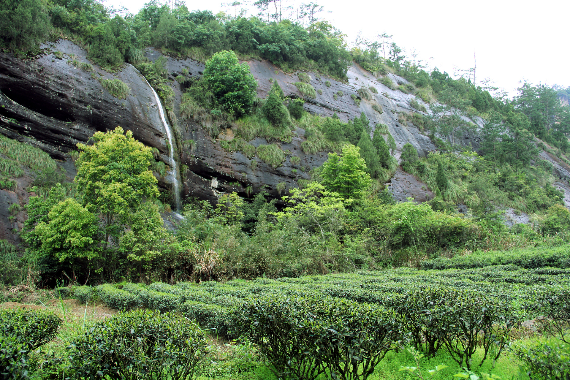 遂川旅游景点图片