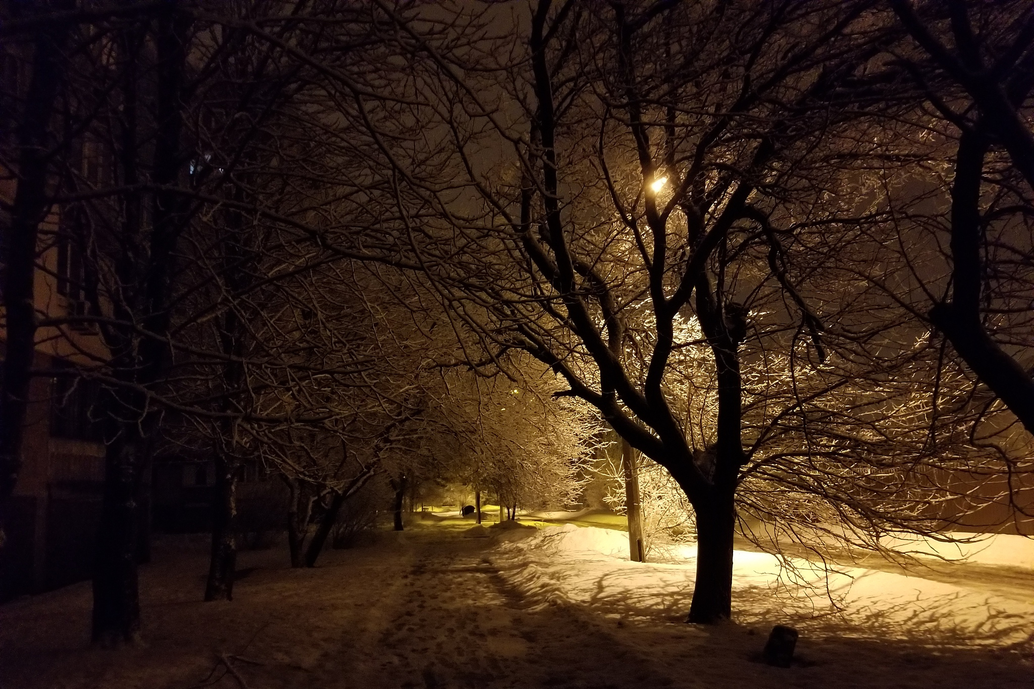 冬天夜晚街景图片图片