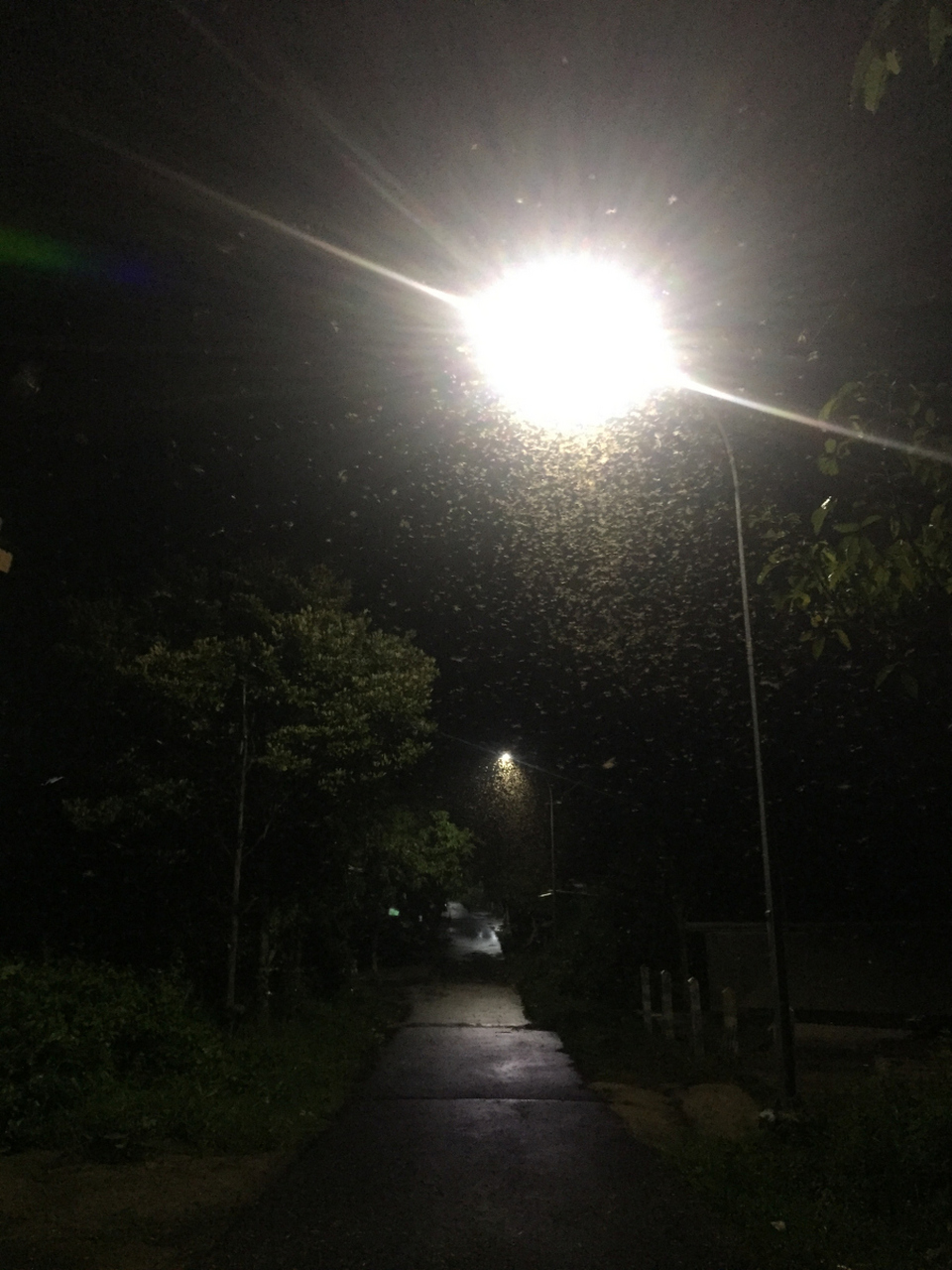 月光缺席的夜晚,路灯点亮窗台  夜幕降临,星辰尚在沉睡,月亮却迟迟未
