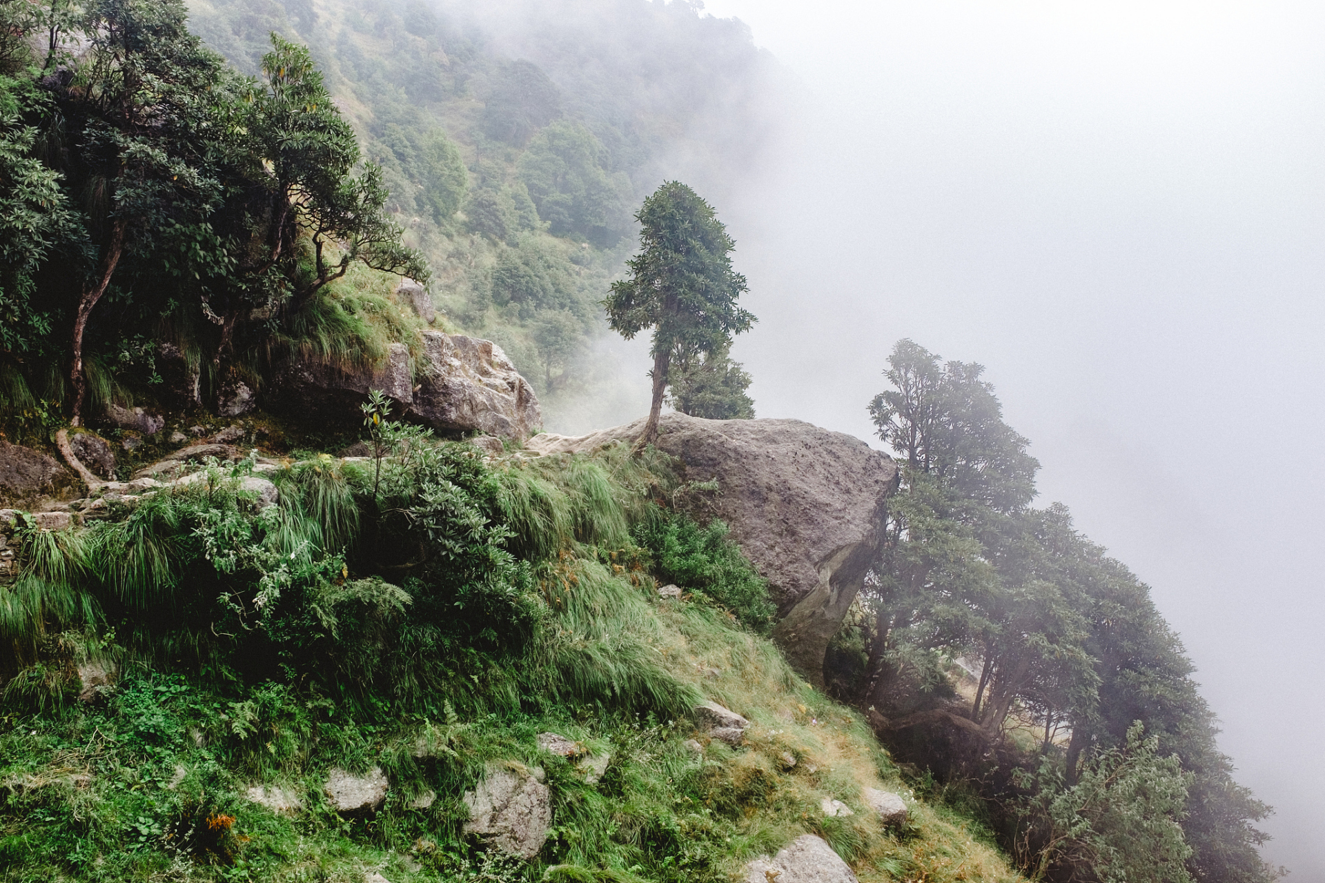 跨年创作挑战赛# 岳西司空山是一个美丽的旅游景点,我在这里度过了一