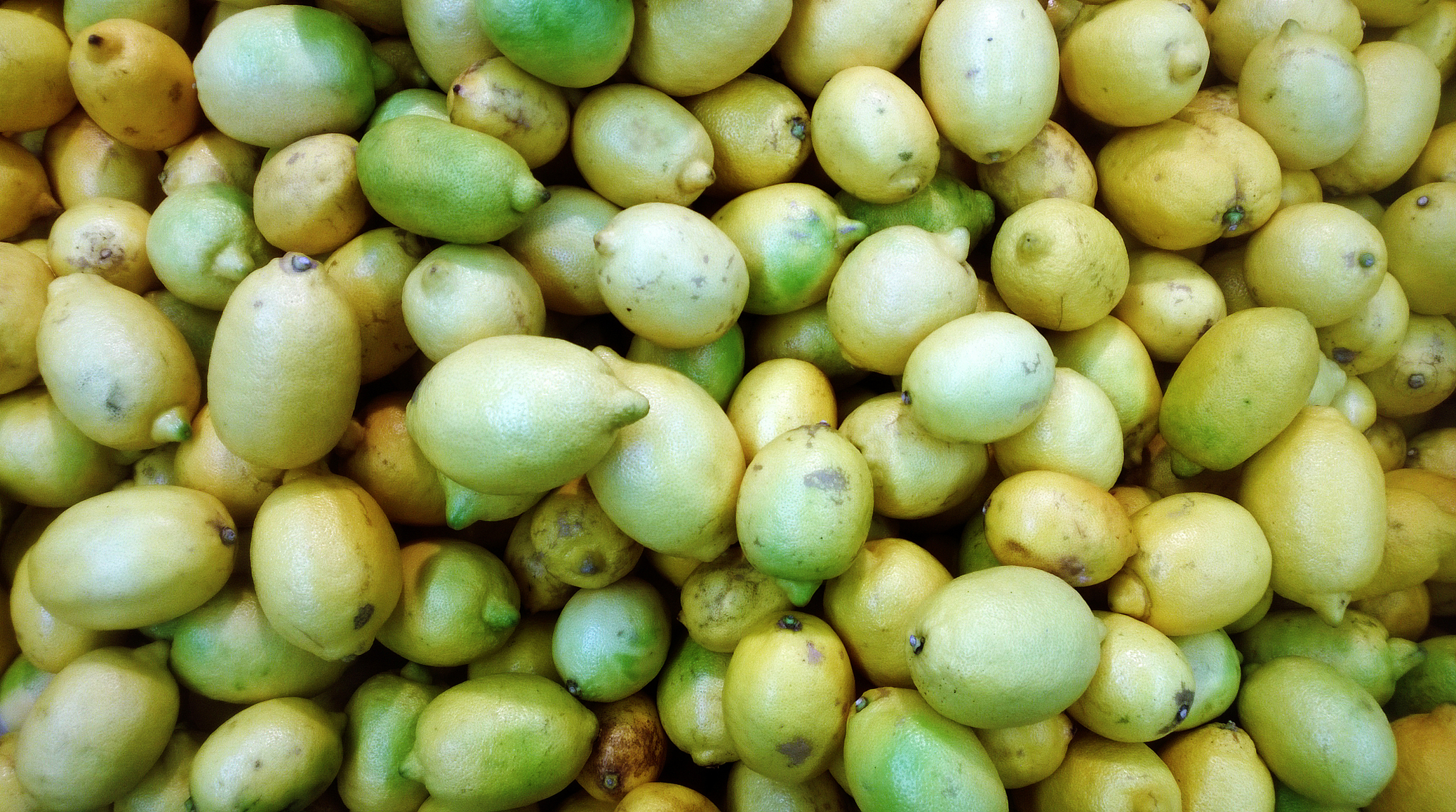 油柑子:营养丰富的健康小果子有哪些功效作用 #健康