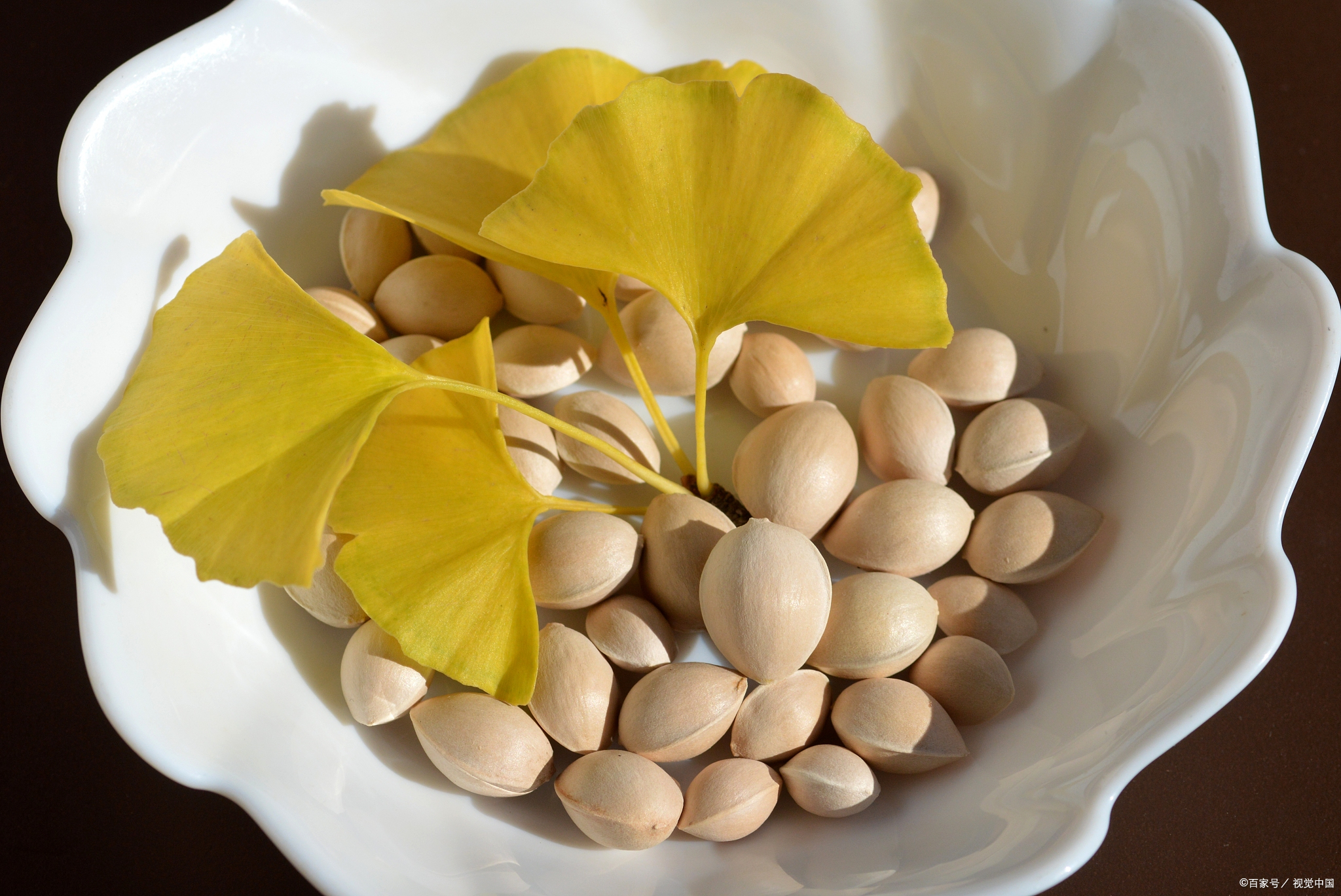 秋季养生好物——银杏果[加油]  秋天来啦,正是咱们聊聊养生好物的好