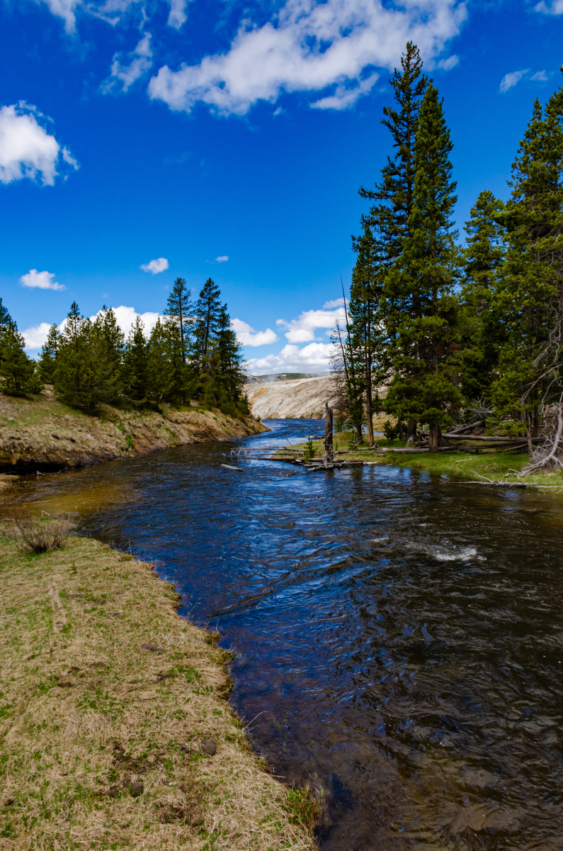 自从生态管控以来,河水愈发清澈,现在居民们更愿意在河边散步游玩.