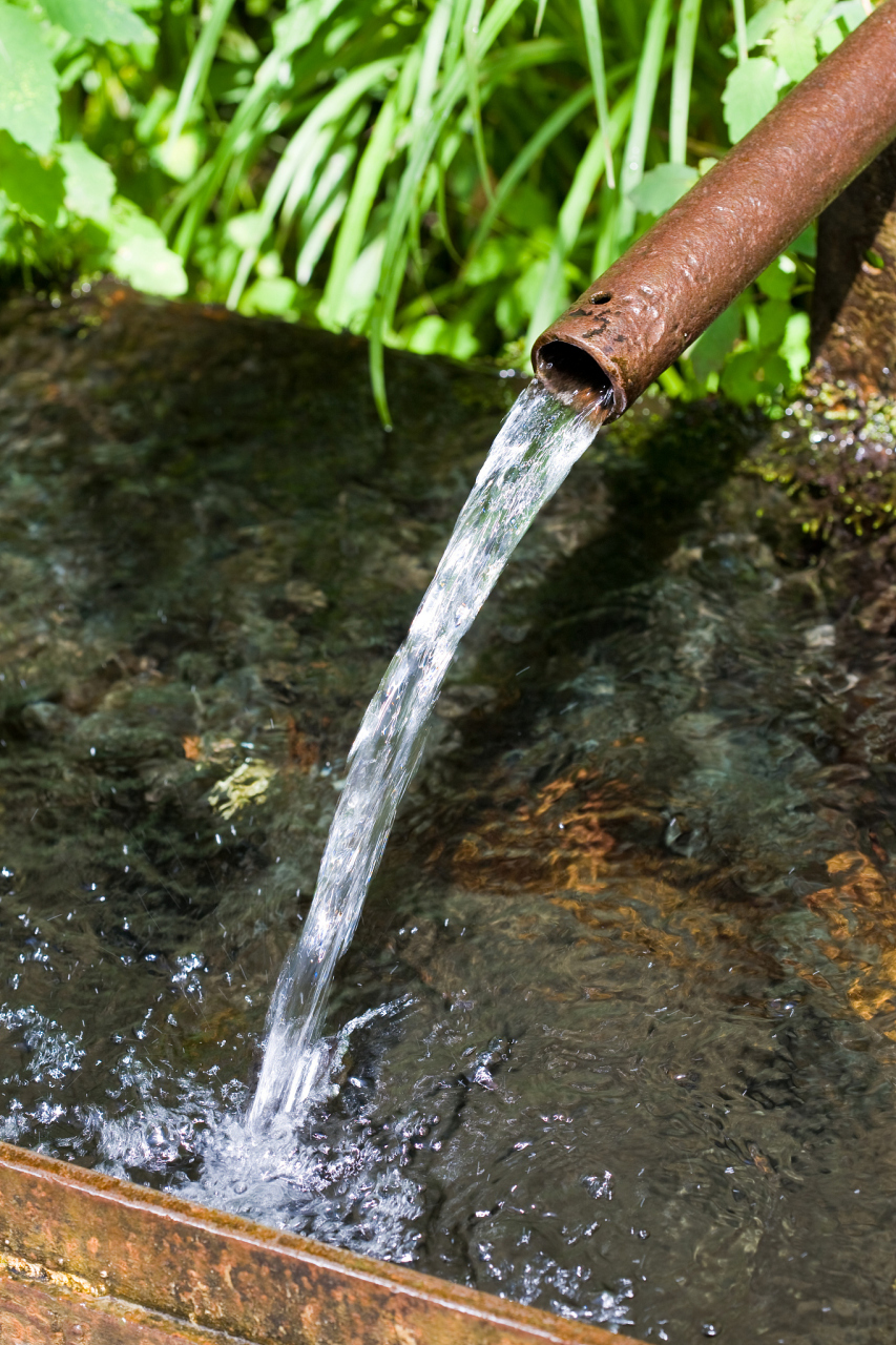 家里的自来水突然有异味?别担心,可能是水源污染或管道老化作祟!