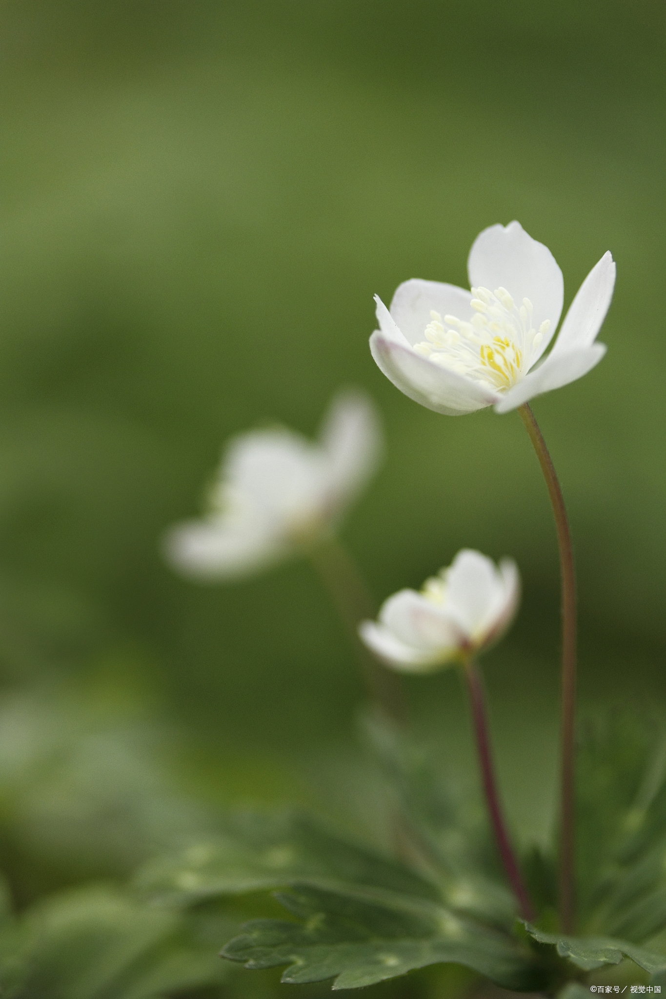 汪曾祺:口味要宽一点,杂一点,对食物如此,对文化也应该这样