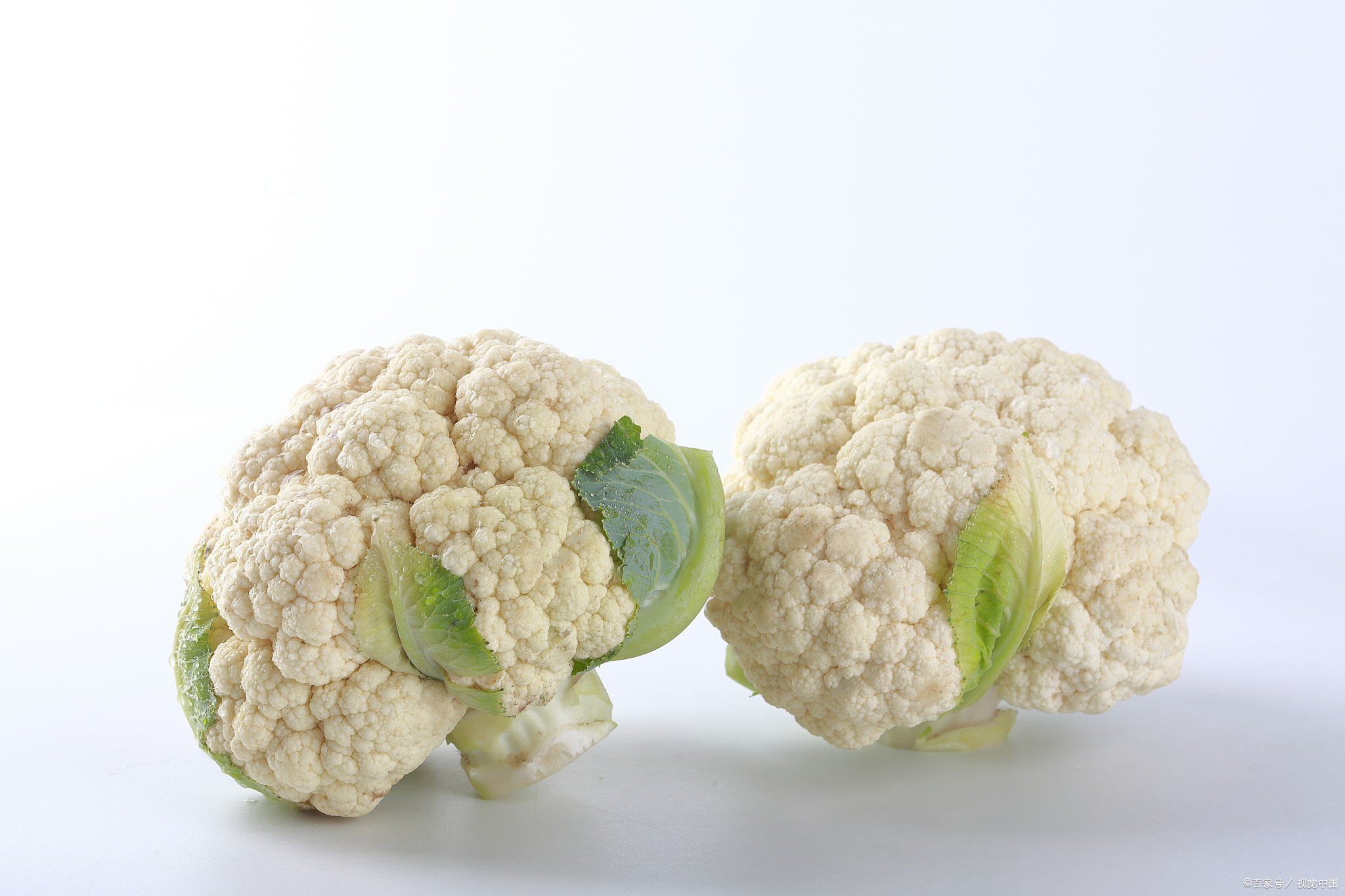 有机花菜跟花菜有什么区别?为啥都把松花菜叫作"有机菜花"?