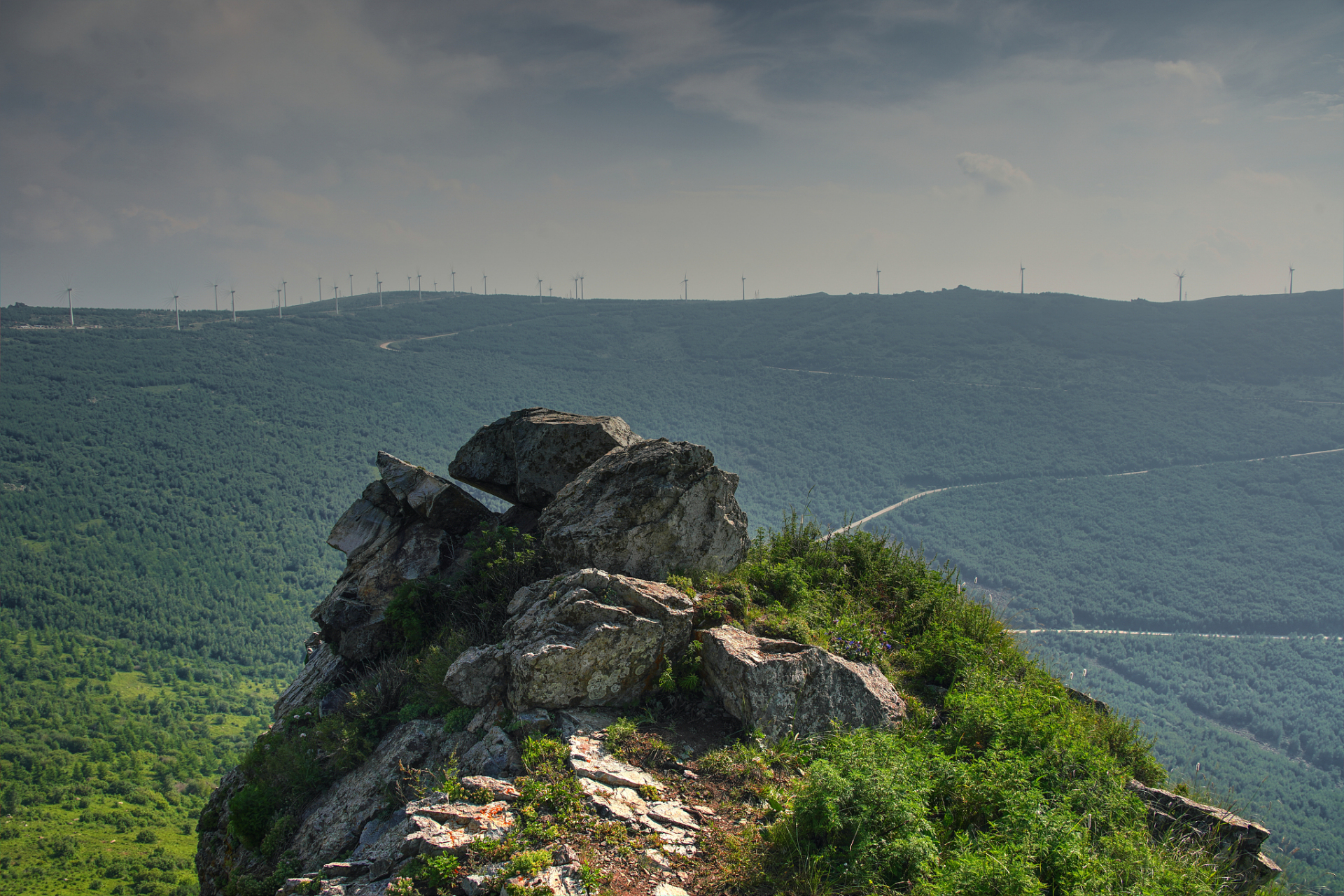 摩天岭:摩天岭是唐家河自然保护区内的一座山峰,海拔约3000米.