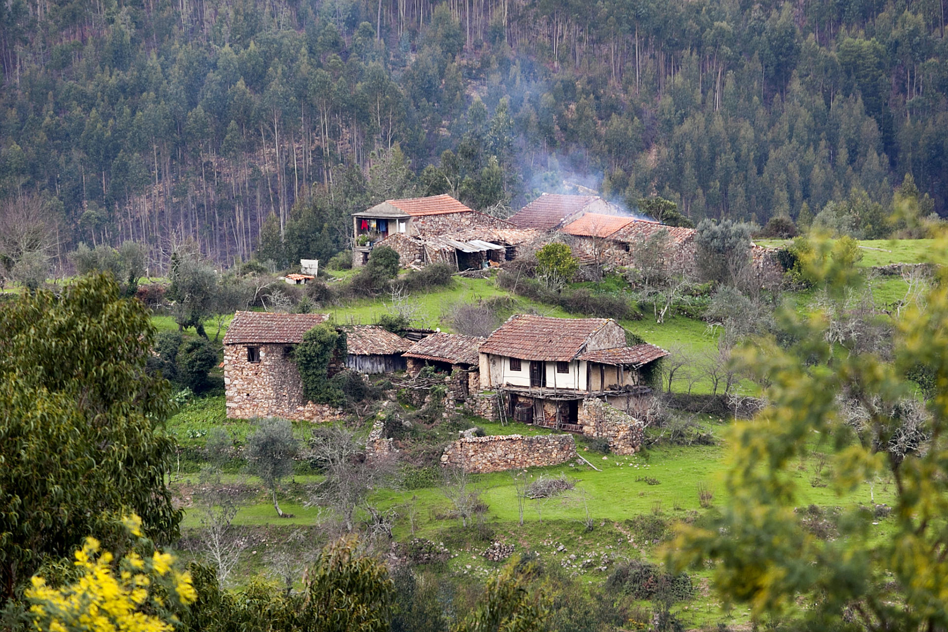 东北农村的传说故事源远流长,充满了神秘和民间传说.
