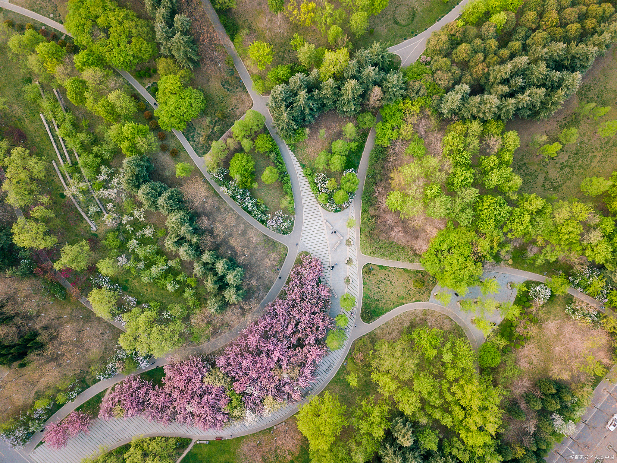 绿意盎然的田野,点缀着五彩斑斓的花朵,仿佛大自然的调色盘