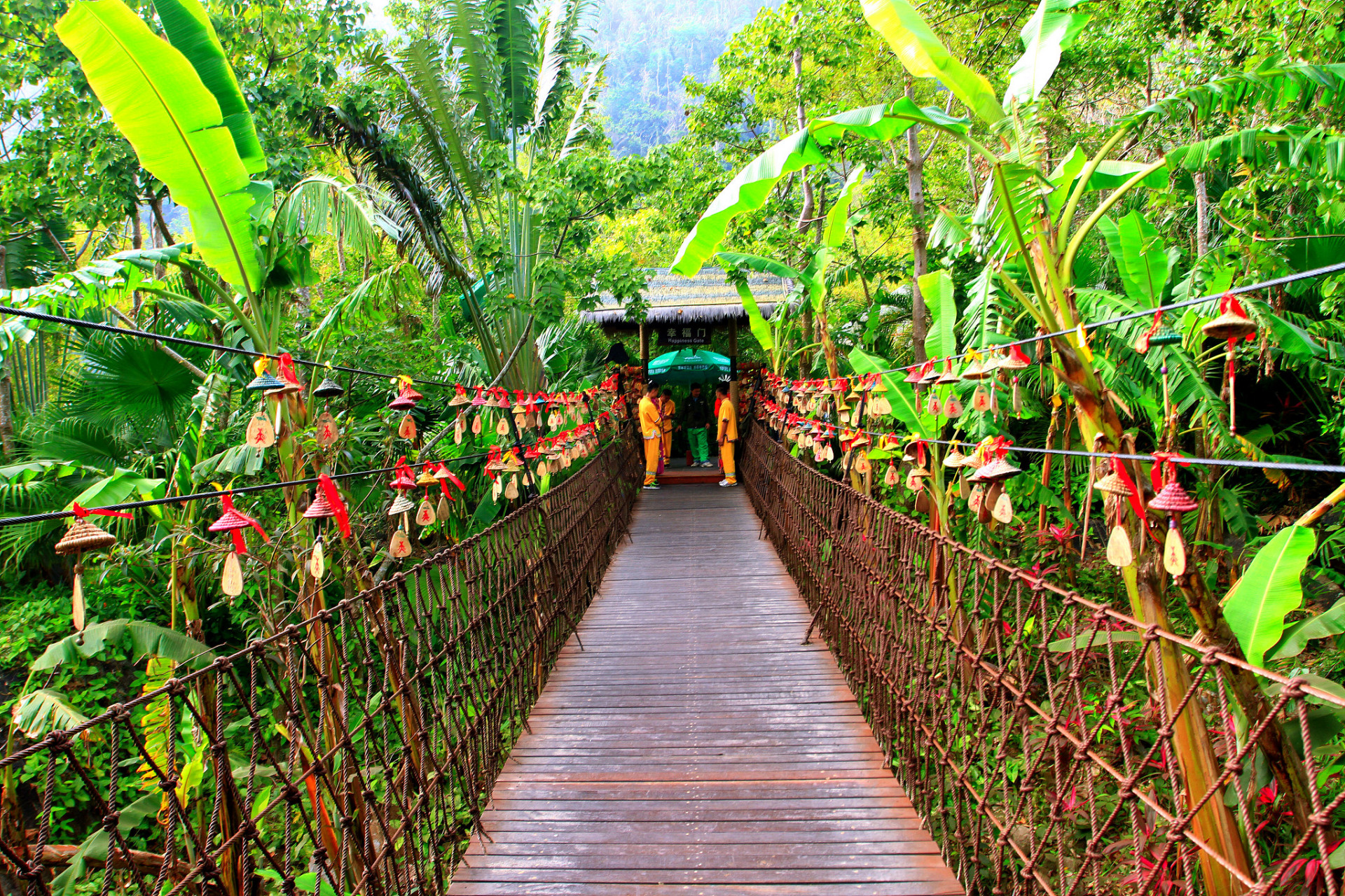 海南#乐享周末分享吧# 呀诺达雨林文化旅游区位于保亭县,是中国唯一
