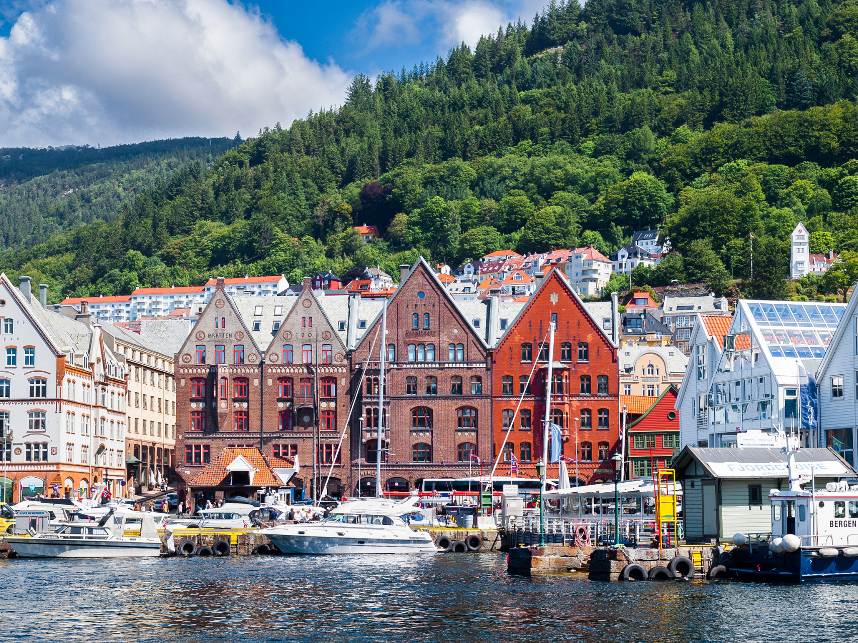 土耳其总统埃尔多安的一次言论,使得瑞典加入北约的进程充满了不确定