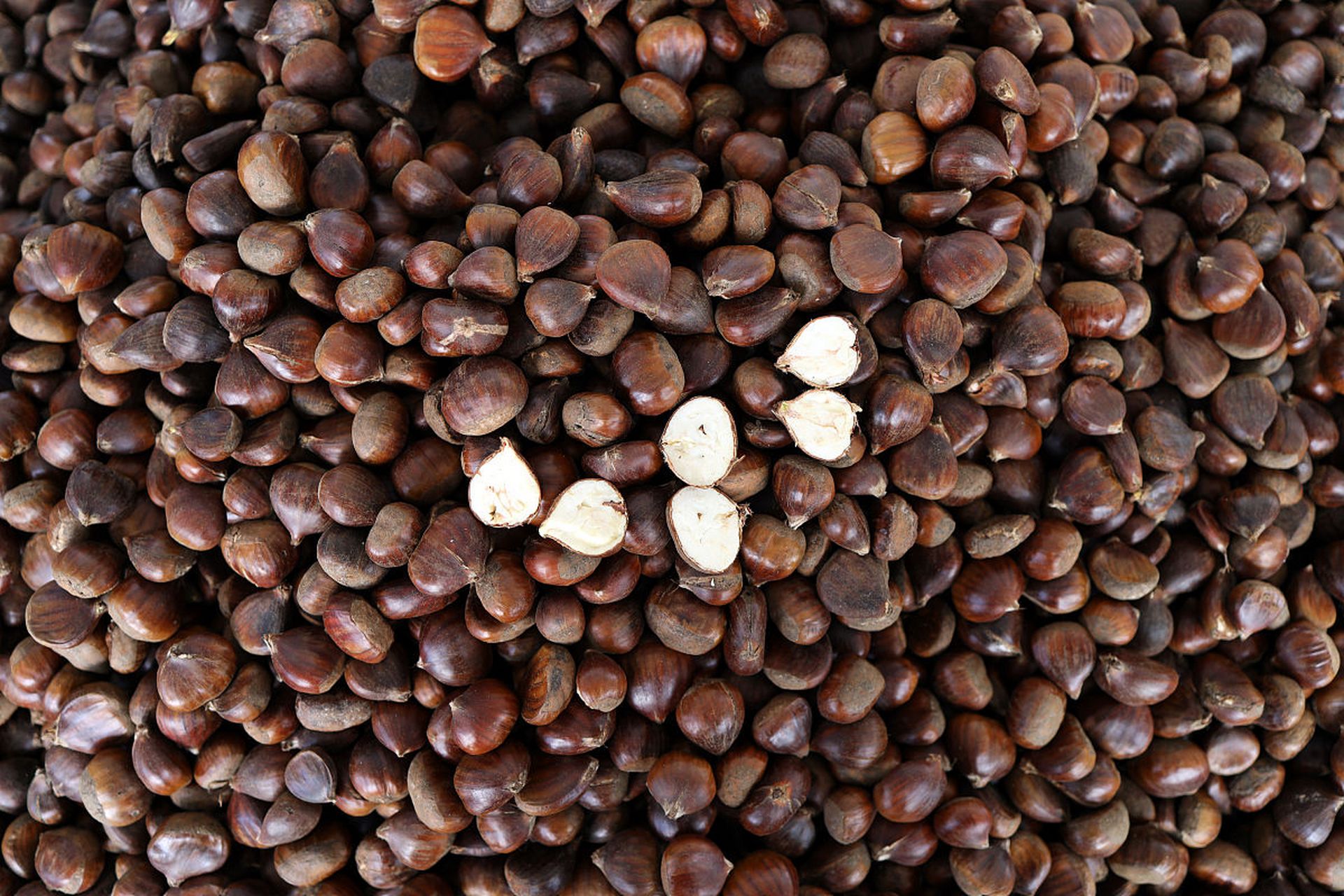 乌桕子,是乌桕树的种子.