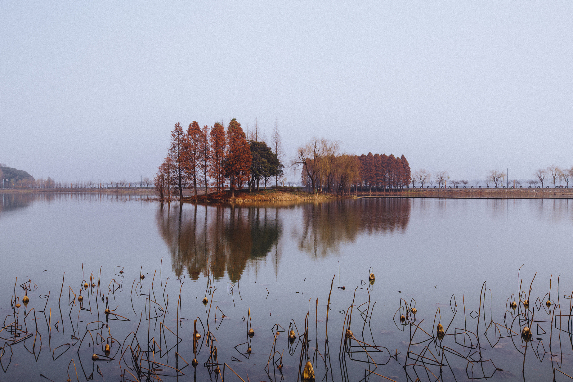 镜头里的春天# 春季旅游汨罗江国家湿地公园,如同一颗璀璨的明珠镶嵌