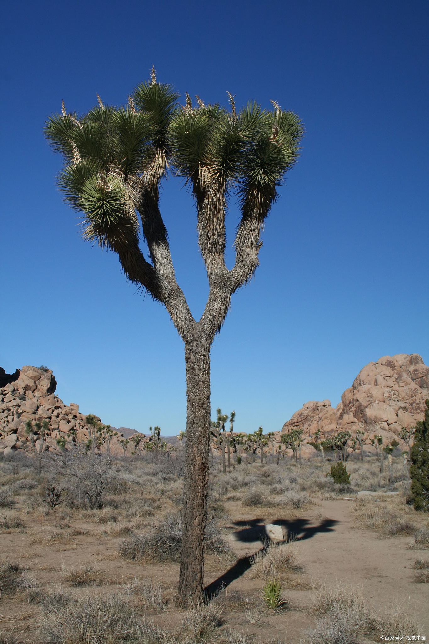 遇到我这种准退休的边缘人,年轻领导总会受挫折 好久